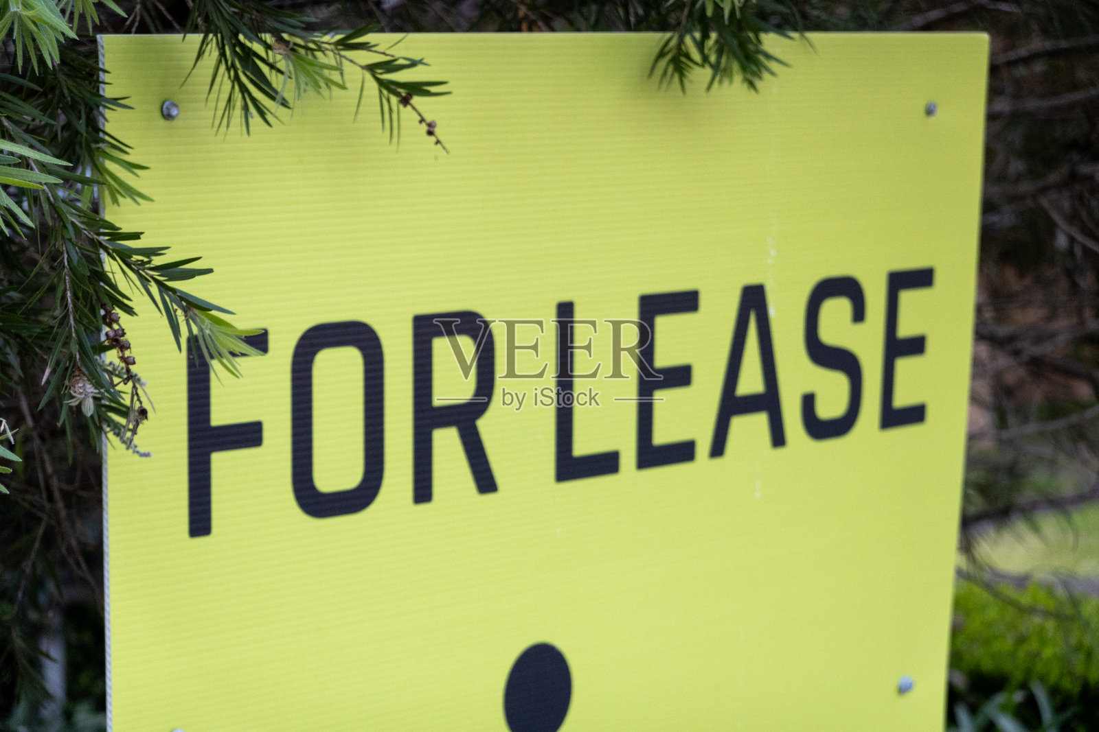出租标志,指示可供租赁的房产或物品照片摄影图片