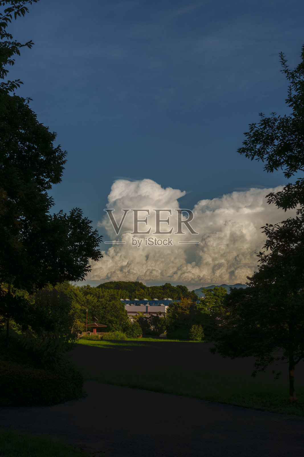 从公园看到的壮观的云景照片摄影图片