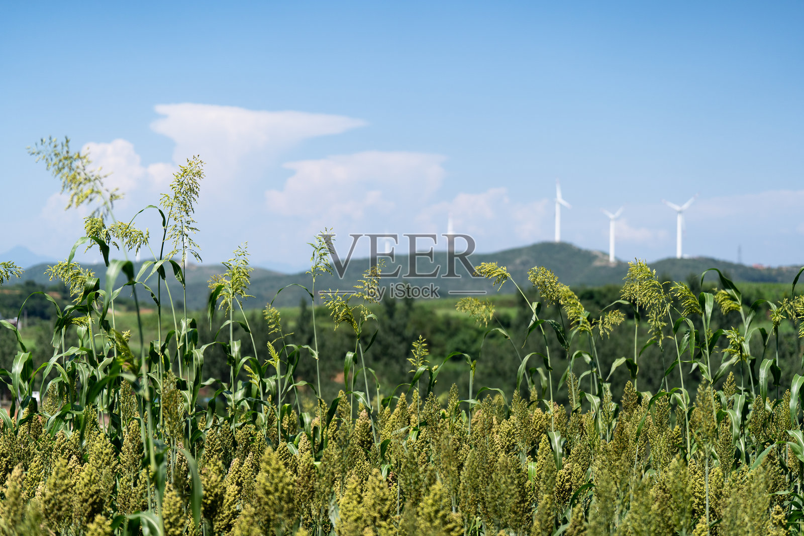 山上的风力发电场风车照片摄影图片