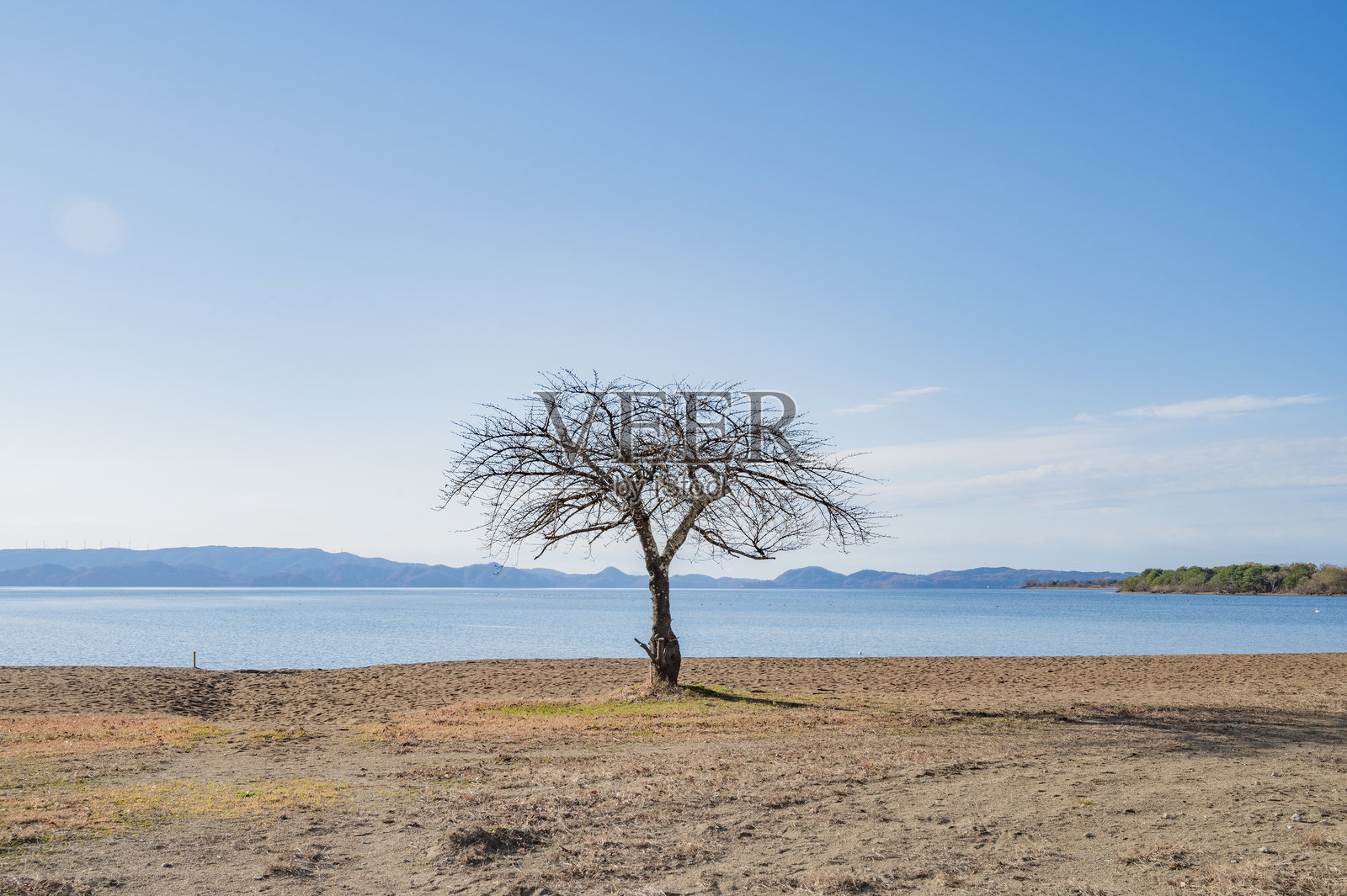 稻川湖的石田海滩照片摄影图片