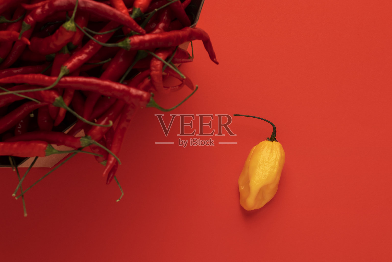 黄色哈瓦那辣椒和红色安得拉邦辣椒。照片摄影图片