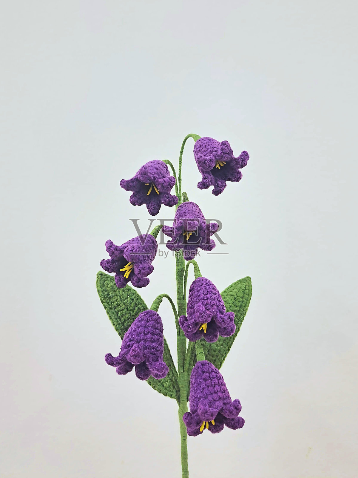 风信子花钩针照片摄影图片