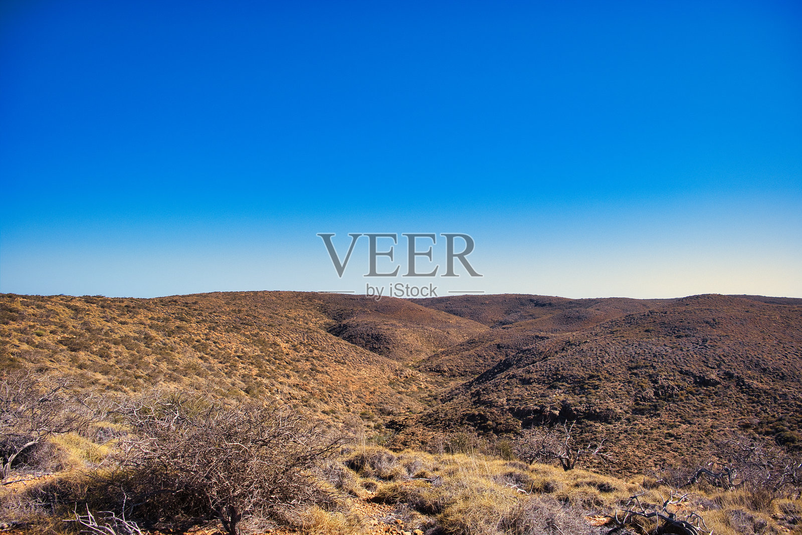 西澳大利亚开普山脉国家公园里有稀疏的内陆植被的山丘。照片摄影图片