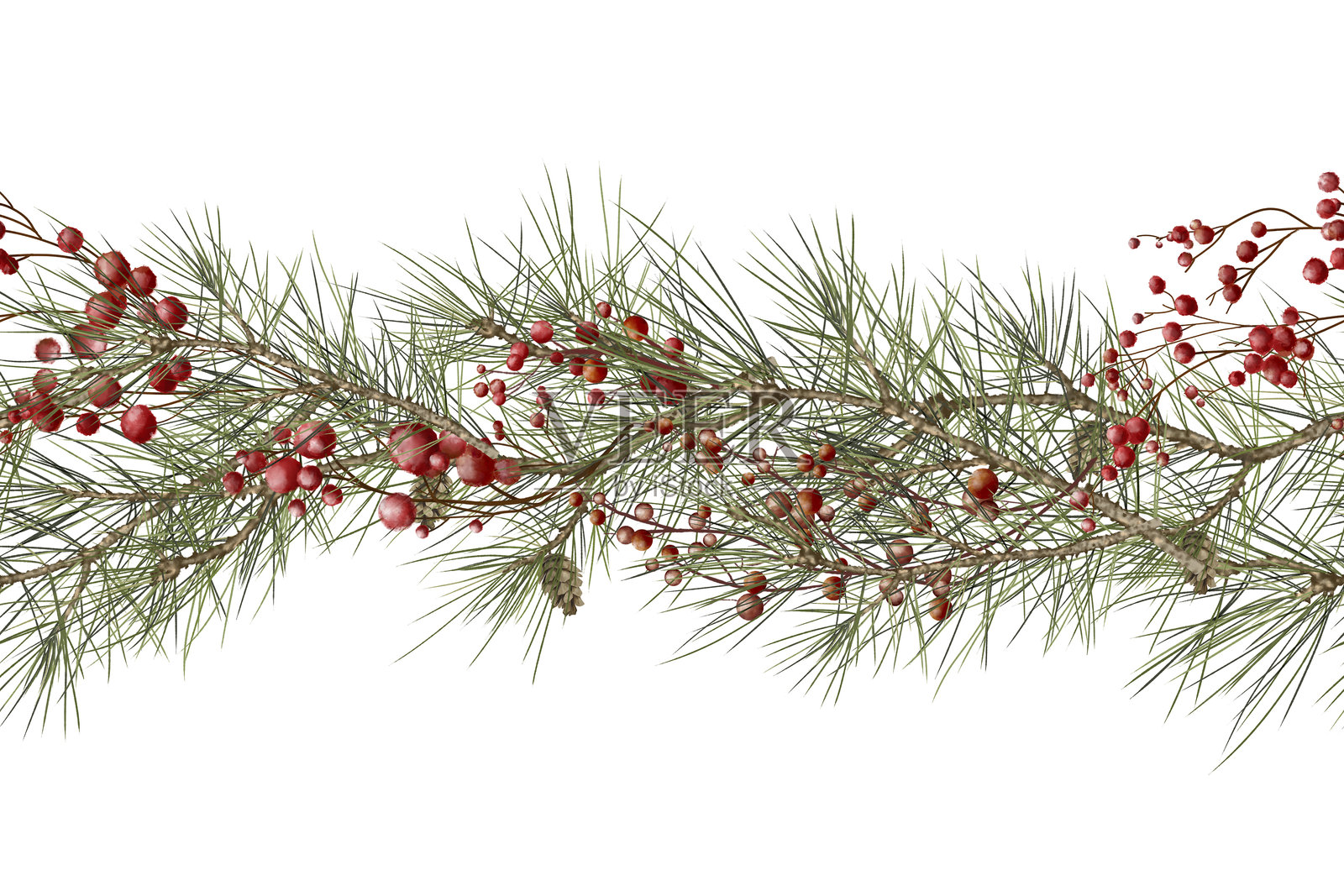 松枝在一个水平无缝边界。水彩插图在数字风格。冷杉球果和绿色松针。红色的冬季浆果孤立在白色的背景上。植物插图插画图片素材
