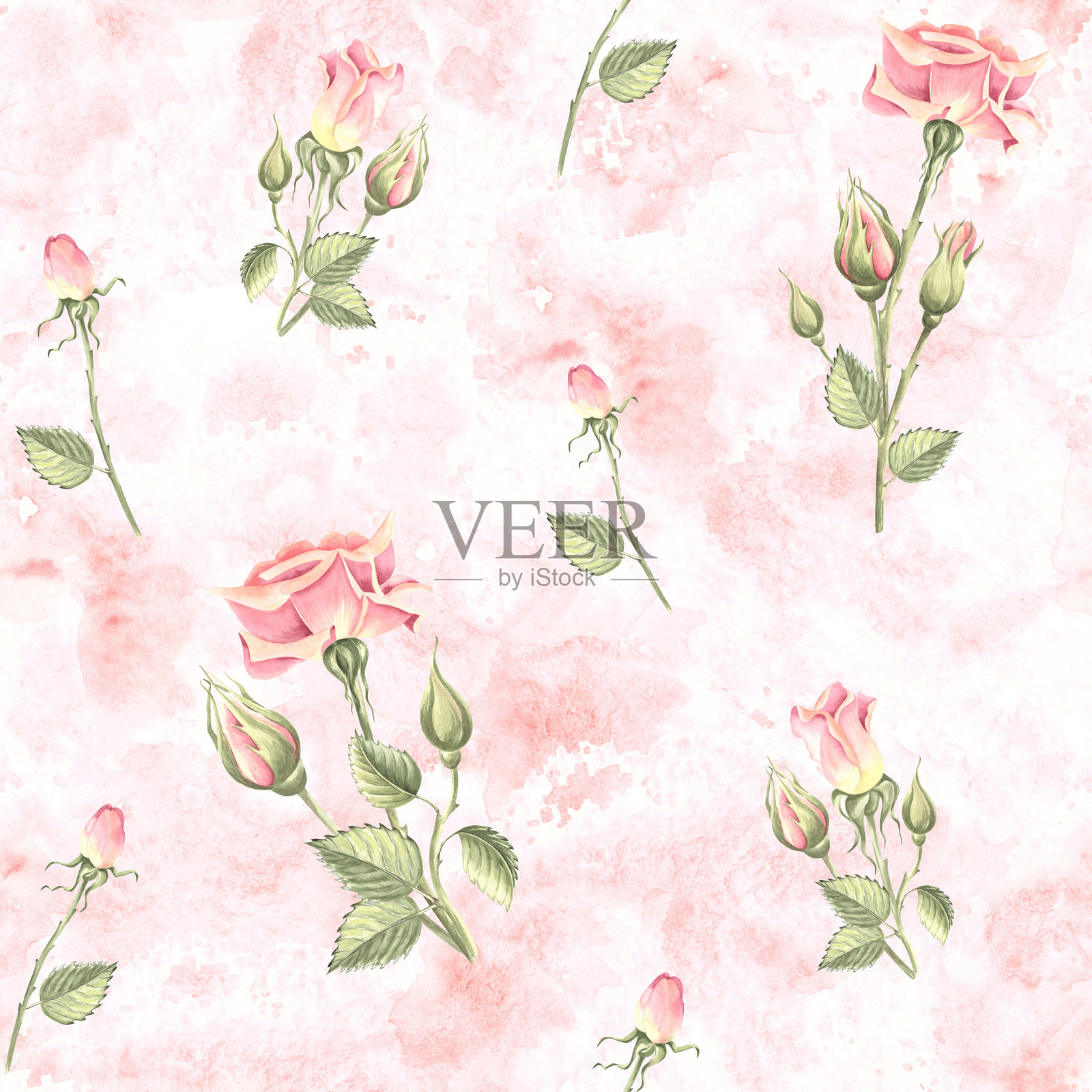玫瑰的花朵和花蕾柔软,浅粉色,叶子绿色。弹簧无缝花纹。手绘水彩插图。园林植物。自然花卉模板的封面,包装,剪贴簿,纺织品插画图片素材