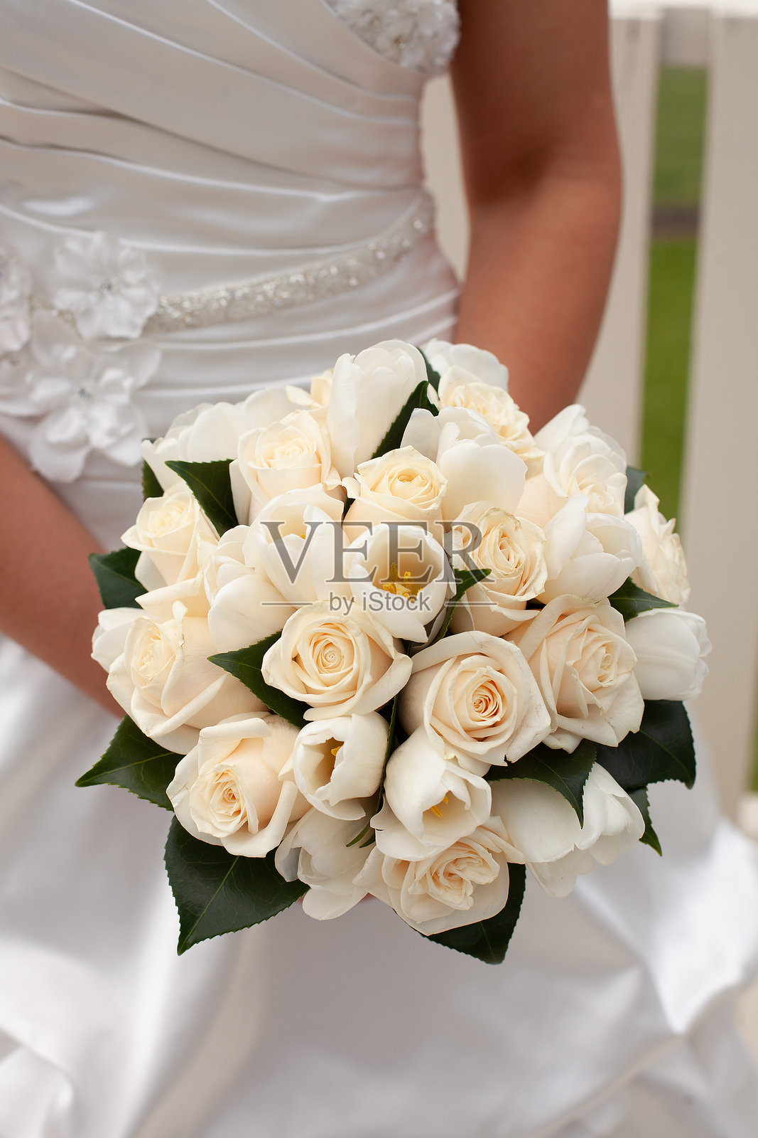 一束美丽的白玫瑰照片摄影图片