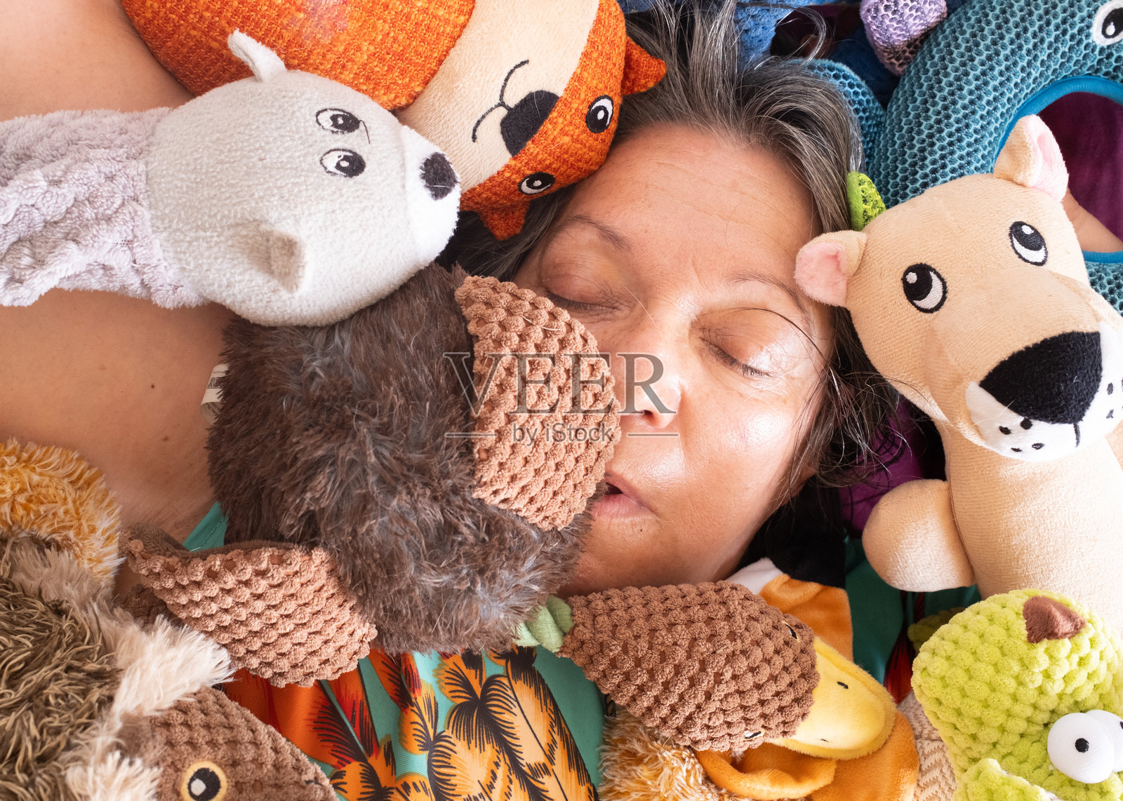 祖母的宠物主人被她淘气的孙子用毛绒玩具恶作剧的受害者。照片摄影图片