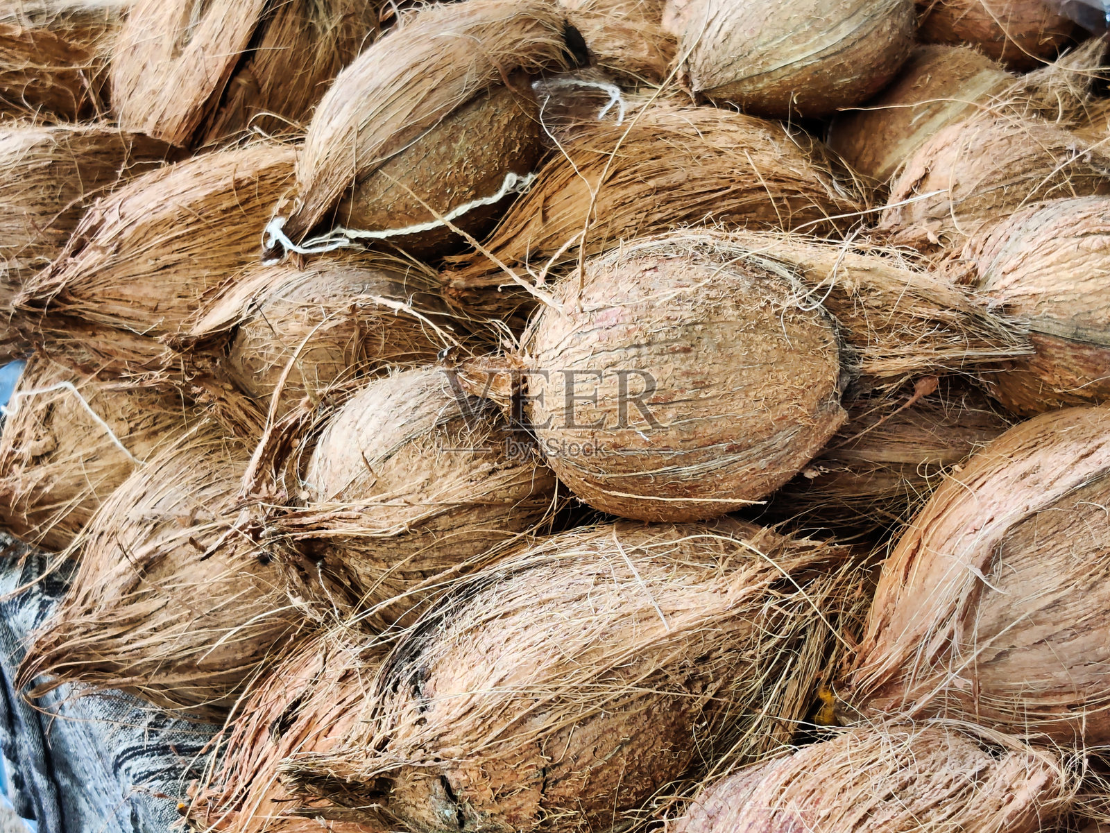 商店里出售椰子的照片照片摄影图片