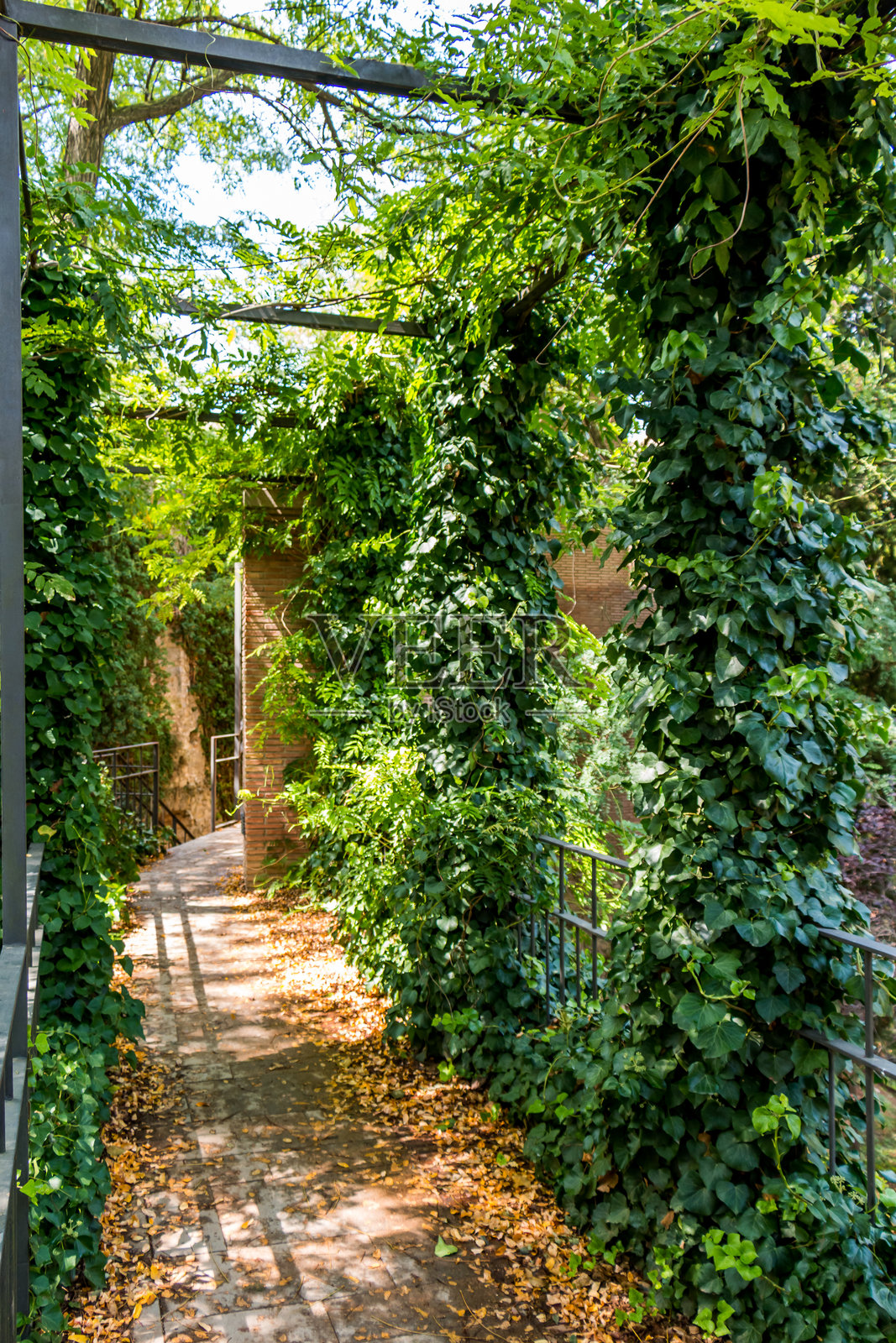 赫罗纳老城的公园。西班牙加泰罗尼亚照片摄影图片