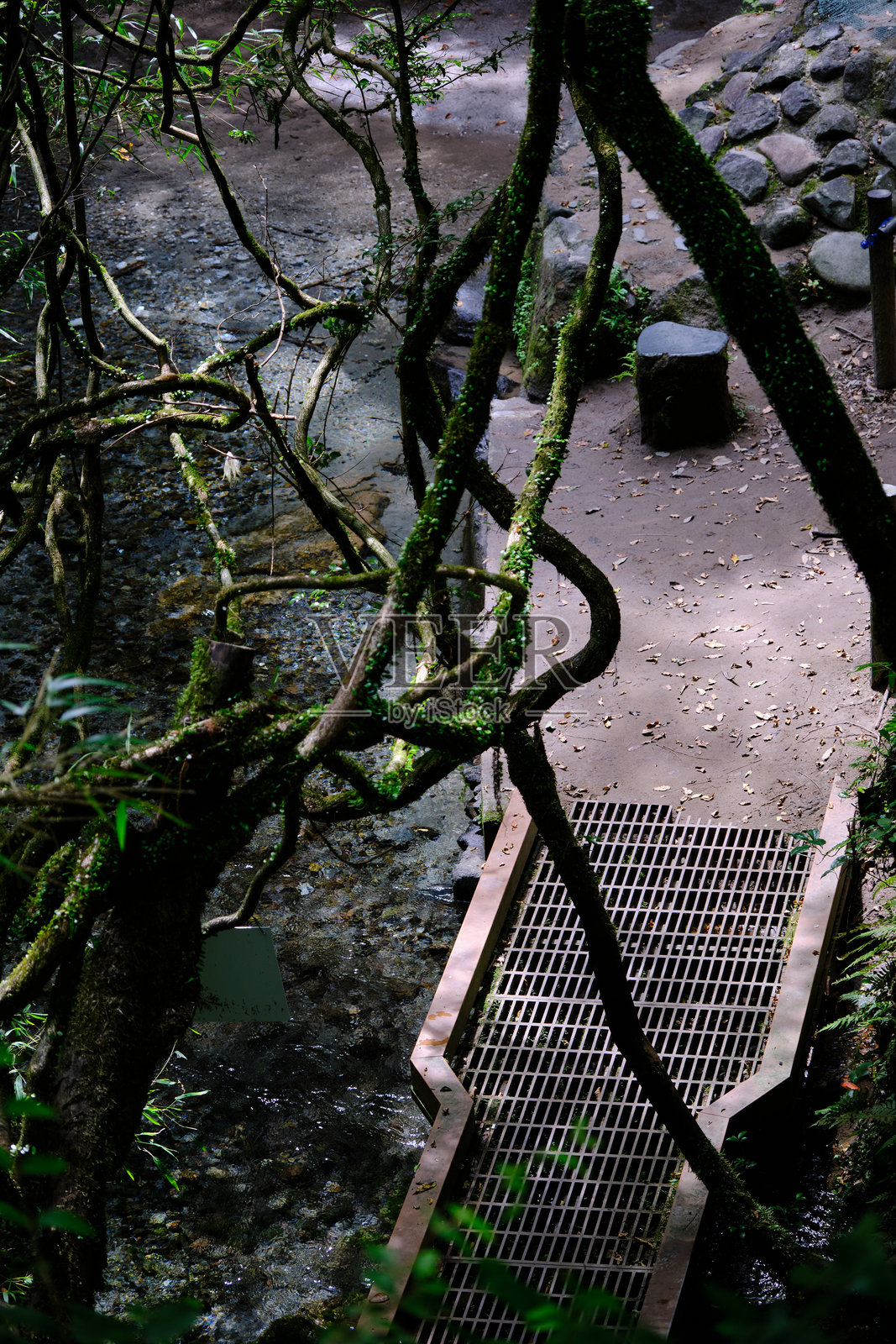 从上面看泉源的大出水河照片摄影图片