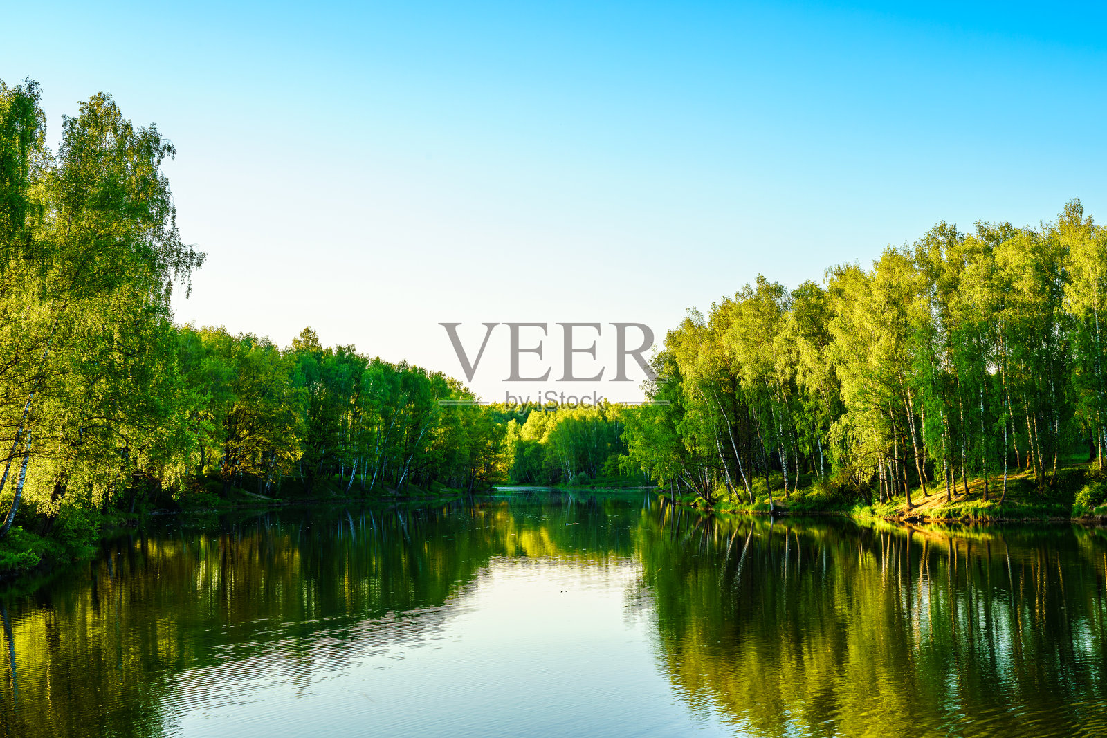 在一个阳光明媚的夏日,日出或日落在有桦树的池塘附近。照片摄影图片