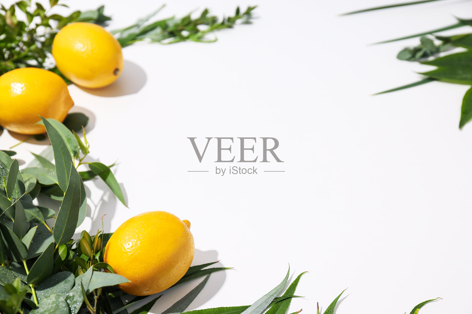 住棚节快乐,犹太节日快乐照片摄影图片