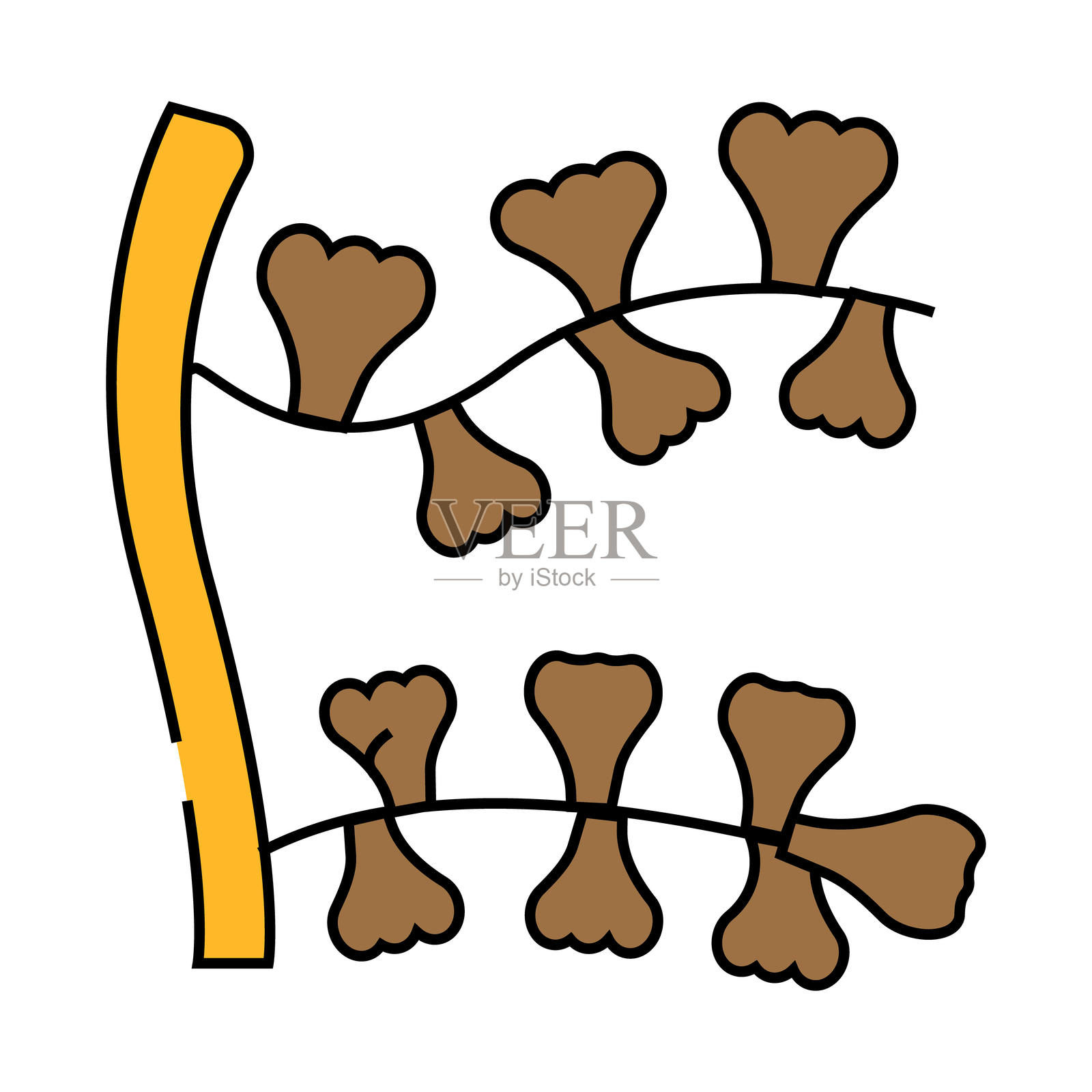 马尾藻海藻图标彩色插图插画图片素材