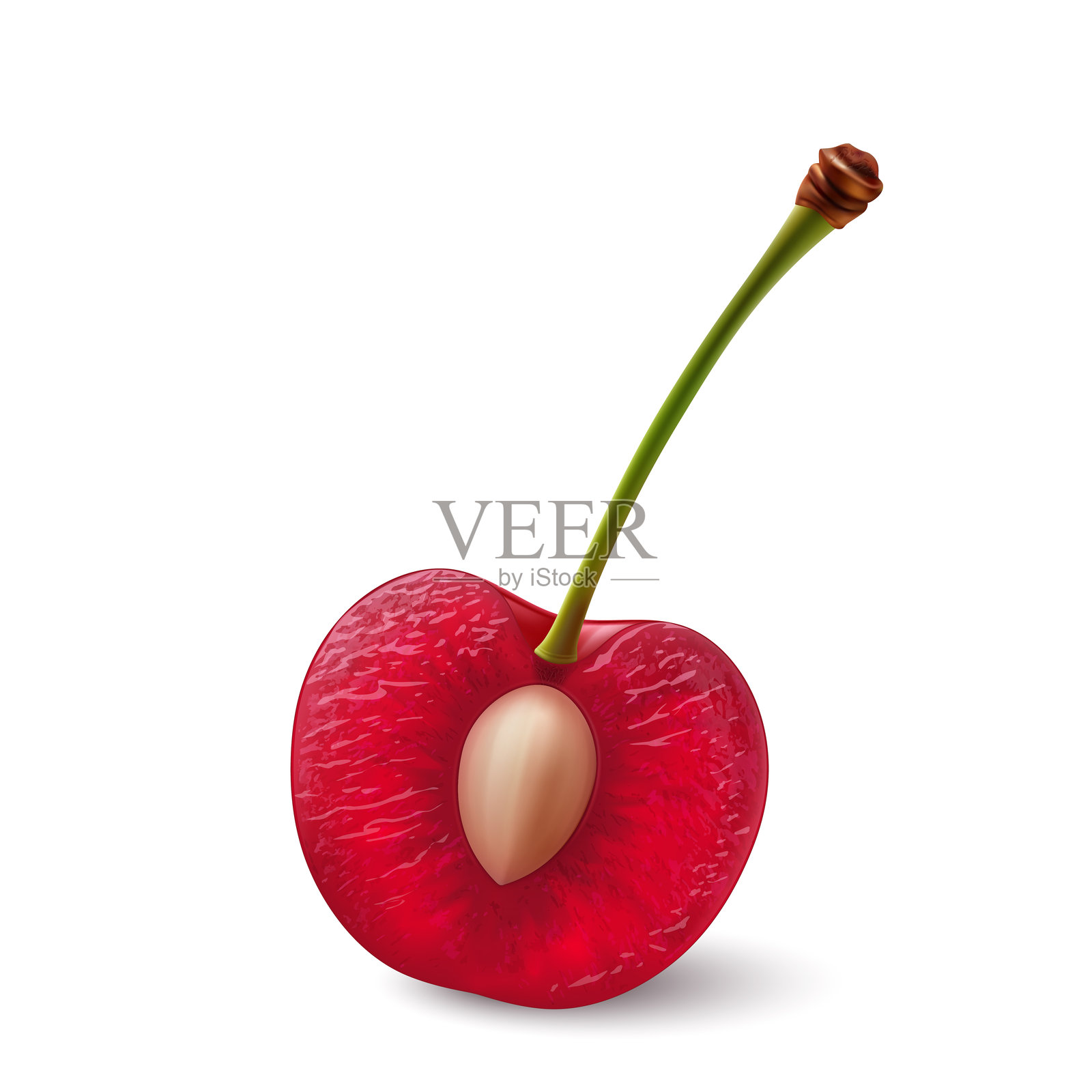 樱桃浆果插画图片素材