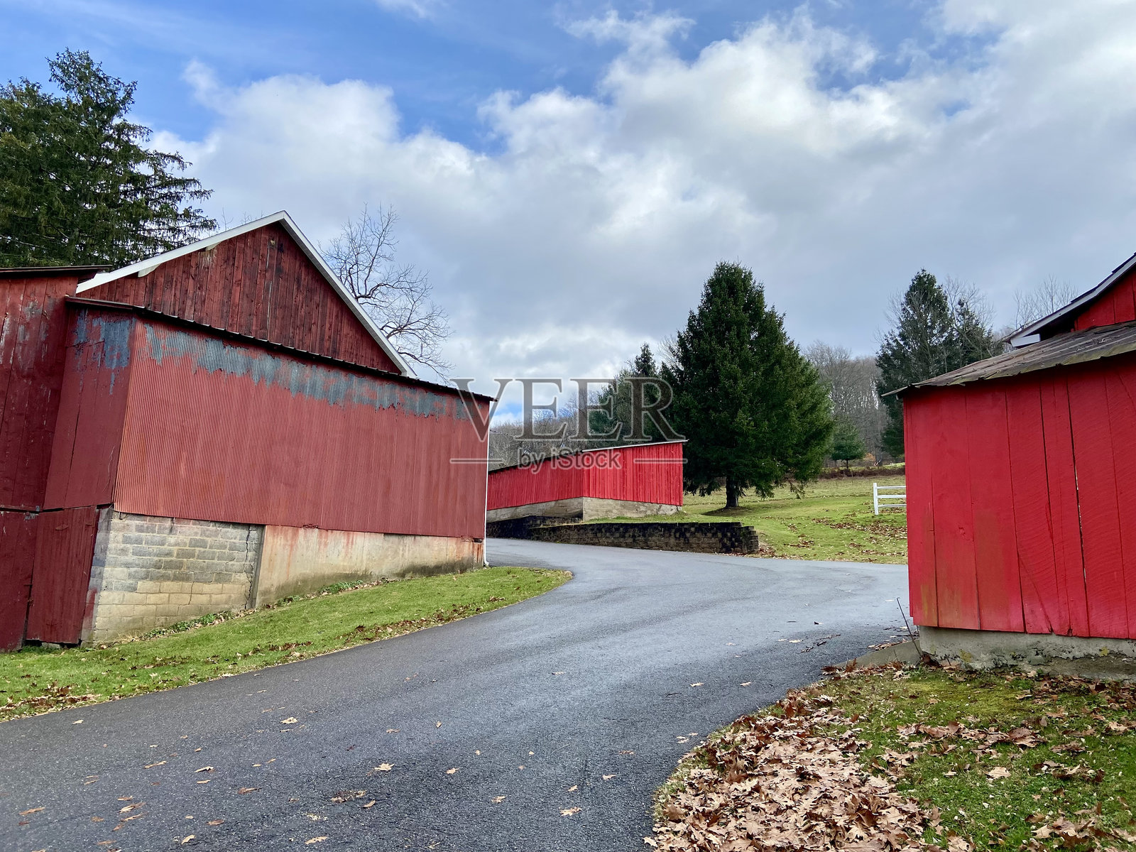 宾夕法尼亚州斯特劳兹堡,秋天,一条乡间车道上的三个红色谷仓照片摄影图片