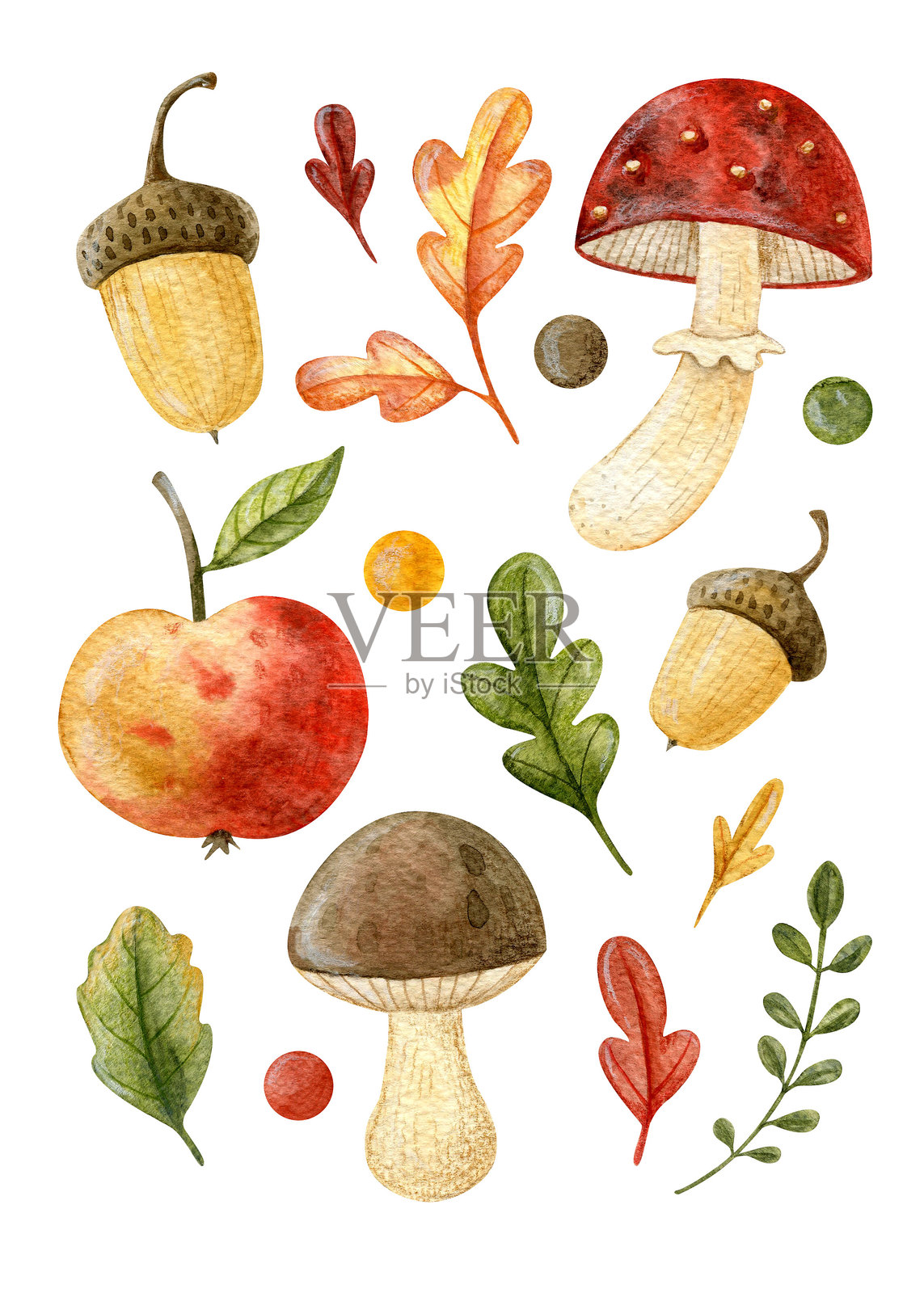 大集水彩秋季插图孤立在一个白色的背景。森林插图:树叶、蘑菇、橡子、飞木耳、苹果、半个苹果。完美的秋季装饰。插画图片素材