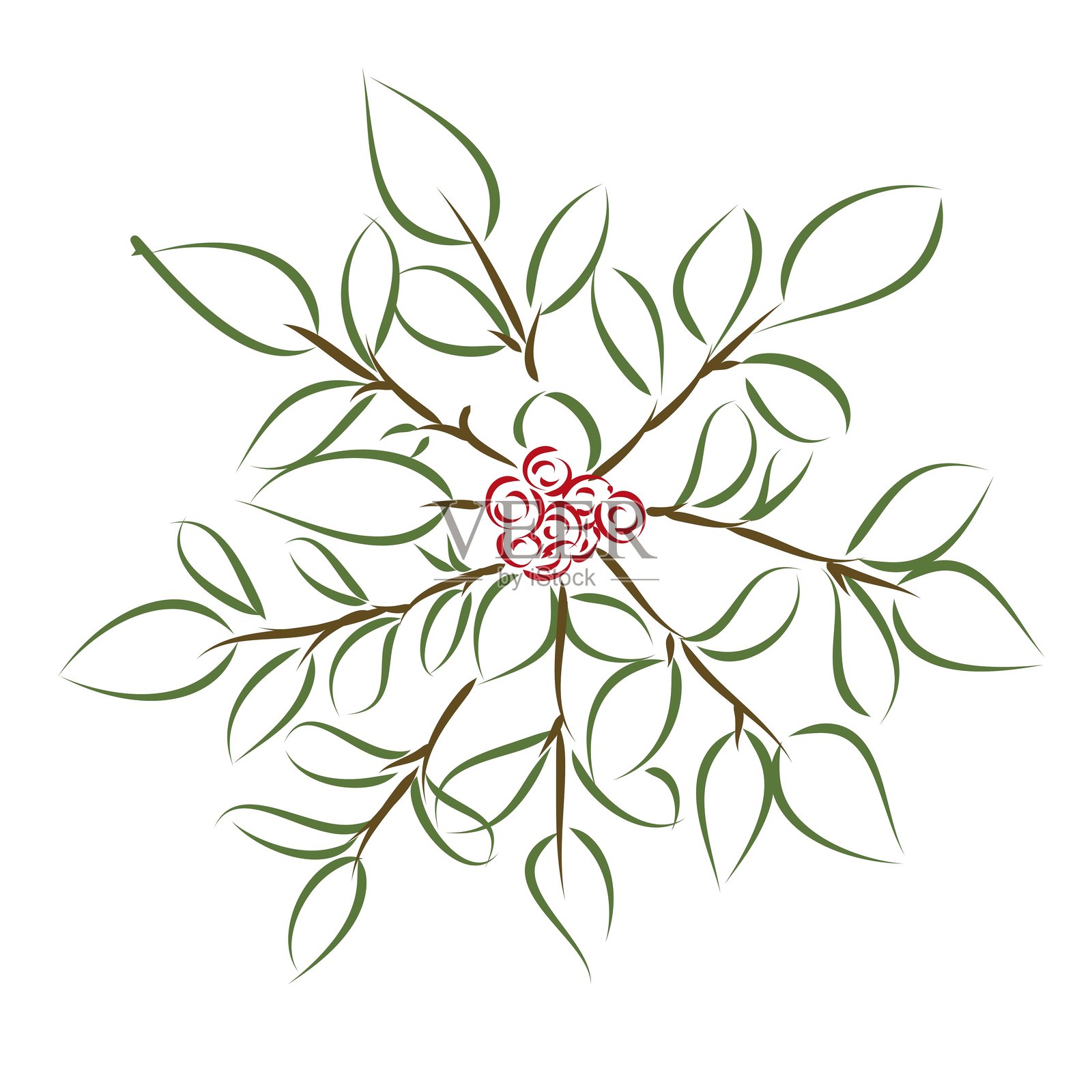 槲寄生插画图片素材