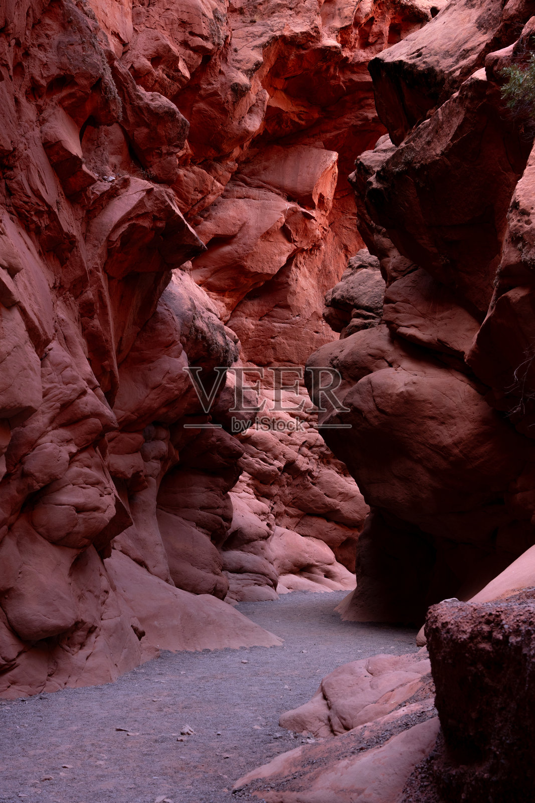 峡谷小径照片摄影图片