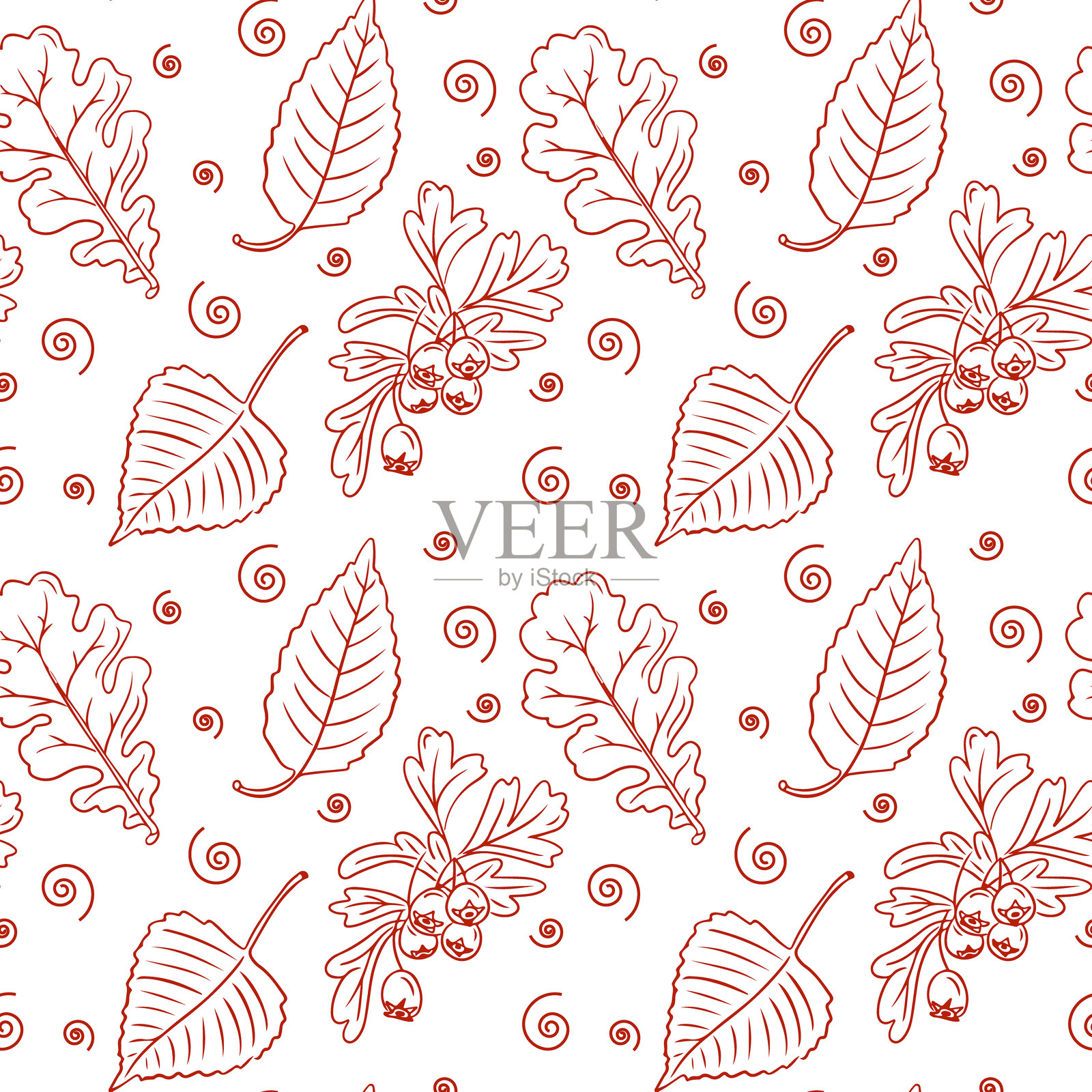 秋天对比无缝图案与山楂插画图片素材