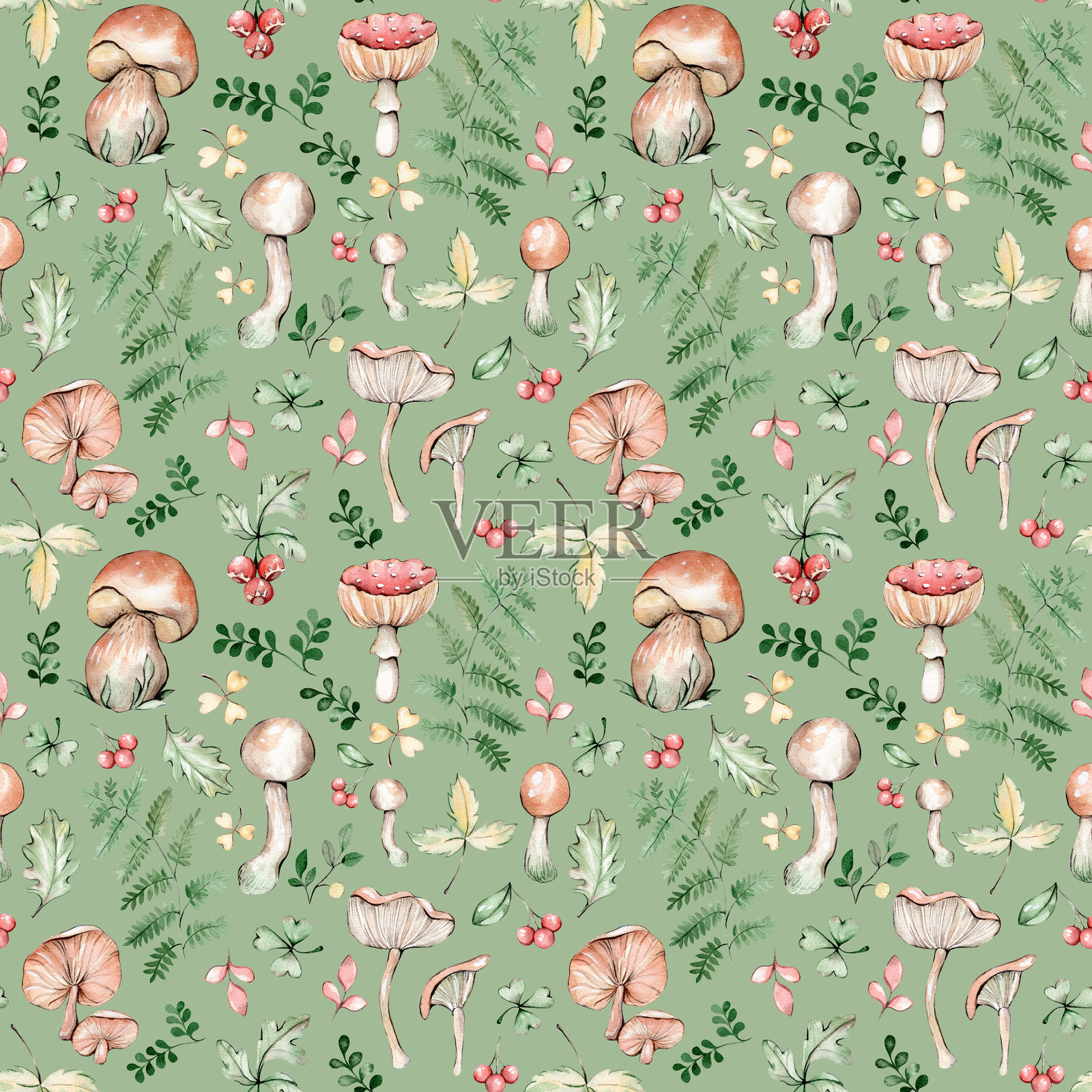无缝图案与水彩蘑菇,树叶,浆果和蕨类植物插画图片素材