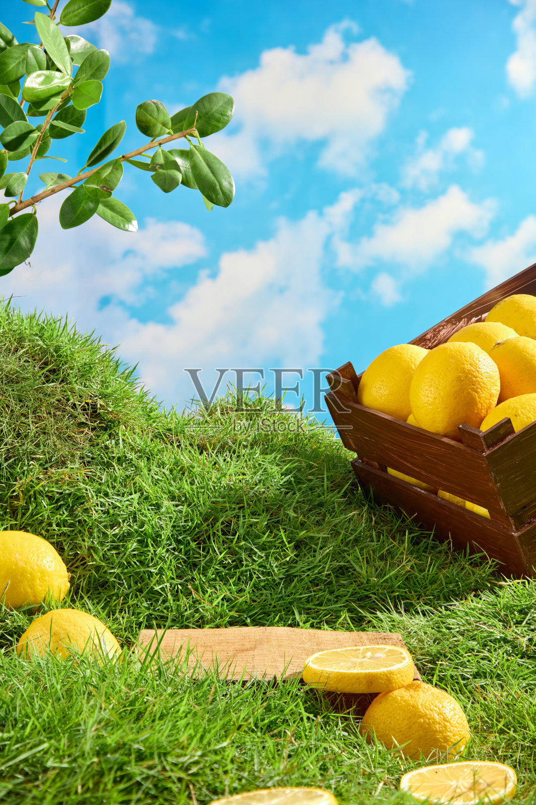 柠檬成分产品的广告照片照片摄影图片