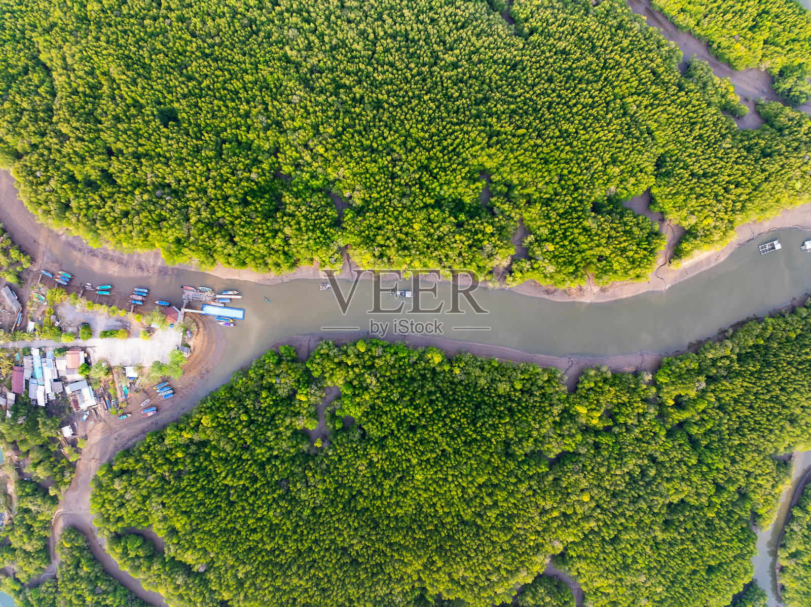 令人惊叹的丰富的红树林,鸟瞰森林树木雨林生态系统和健康的环境背景,绿色树木的纹理森林自上而下,高角度视图照片摄影图片