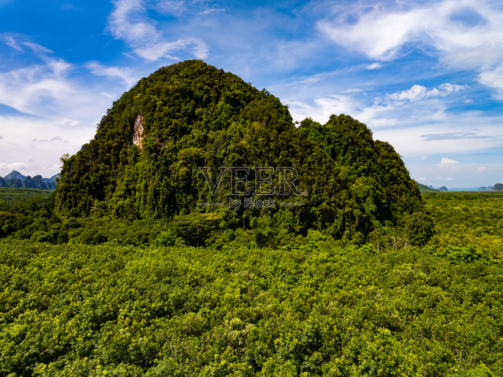 鸟瞰图热带雨林树木山脉照片摄影图片