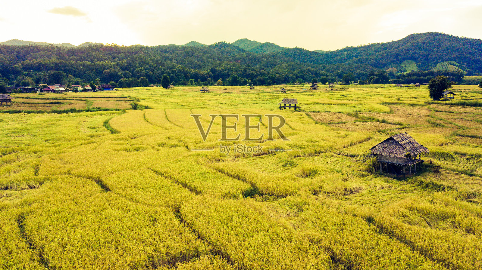 天空映衬下的农田风景照片摄影图片