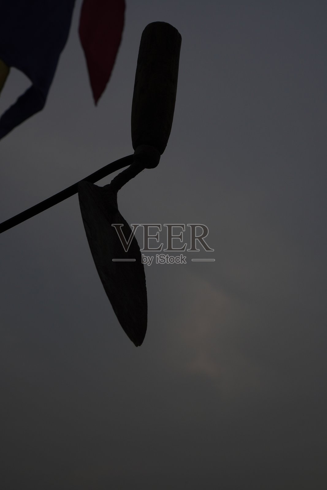 也有园艺曲线照片摄影图片