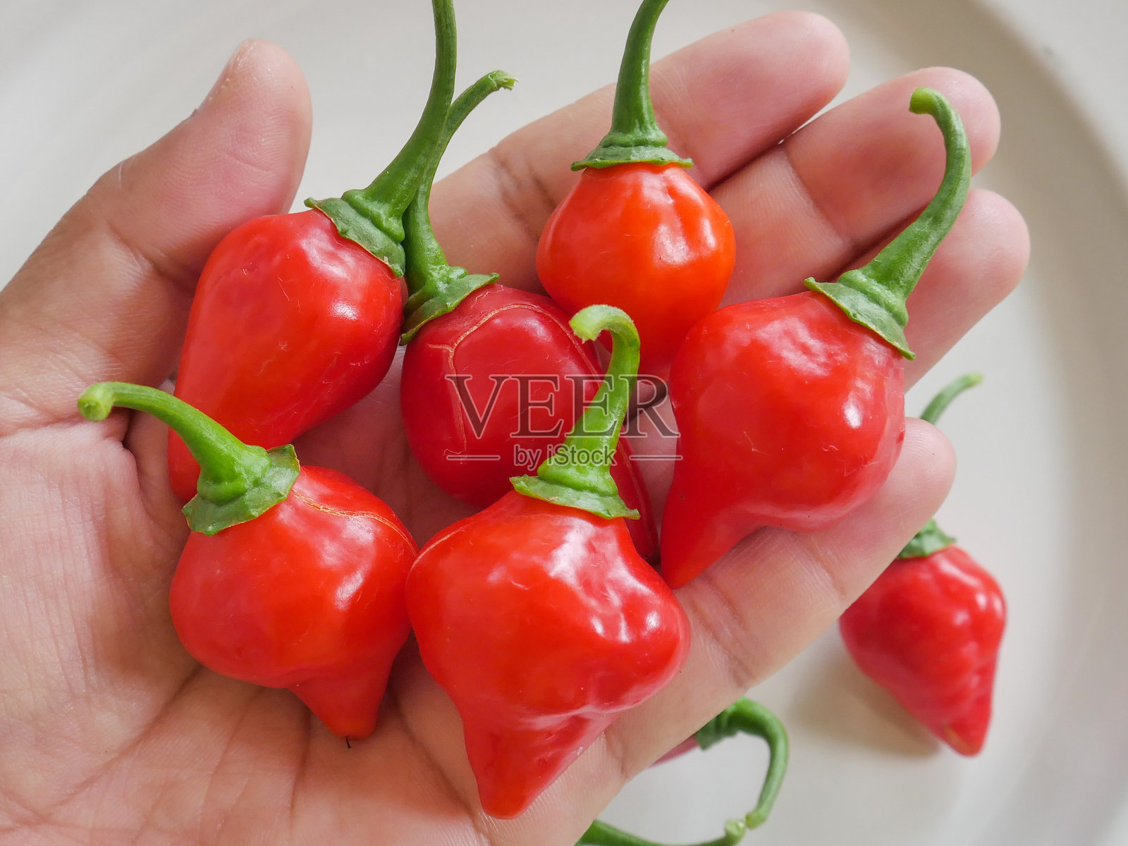 Biquinho胡椒照片摄影图片