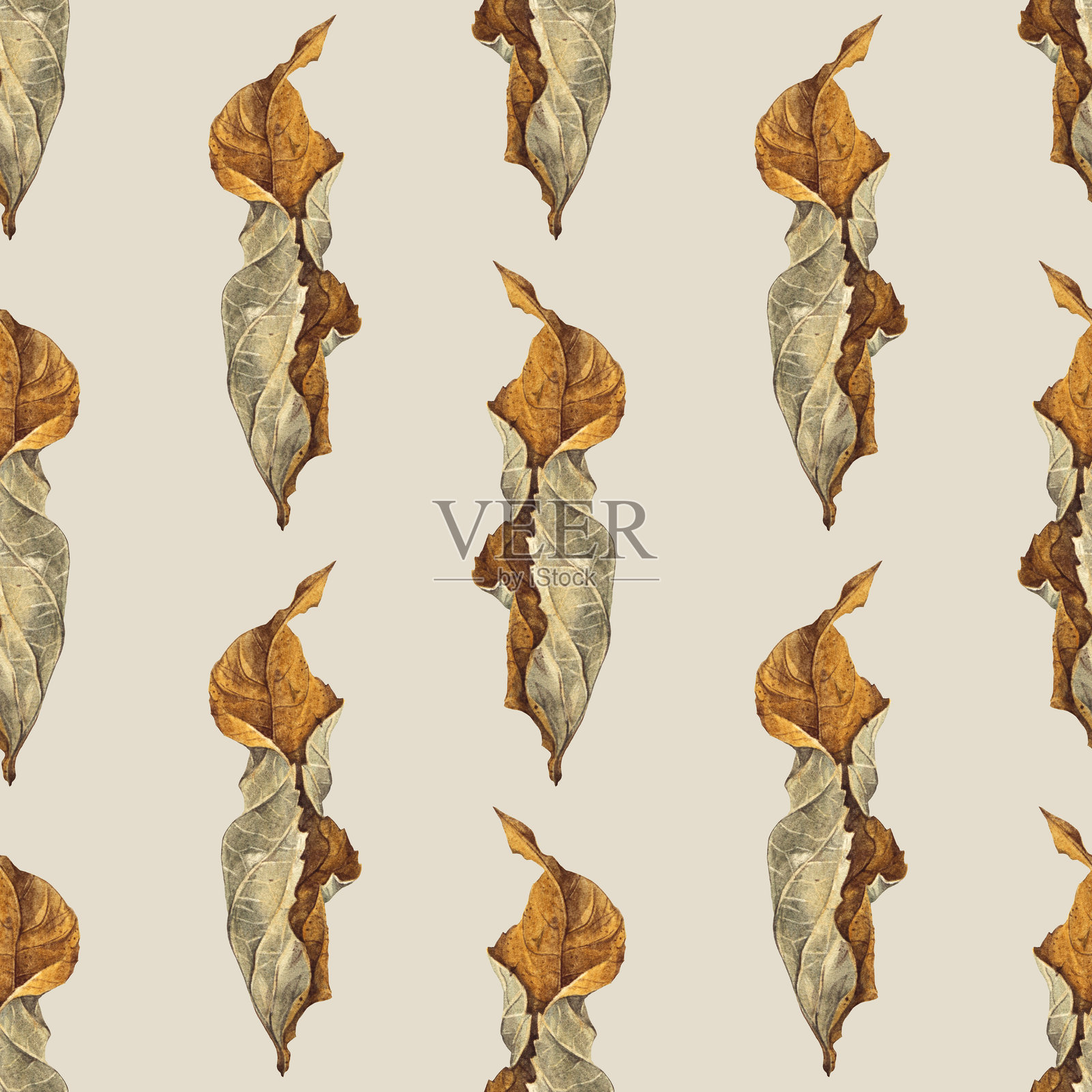 无缝图案与水彩手绘秋天干黄叶米色背景。森林自然植物的叶子。万圣节卡片或贴纸的艺术。墙纸或包装和速写本插画图片素材