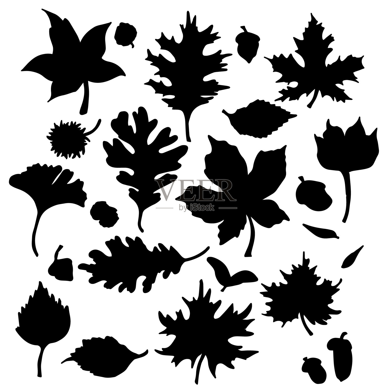 秋天的叶子设置向量的黑色剪影插画图片素材