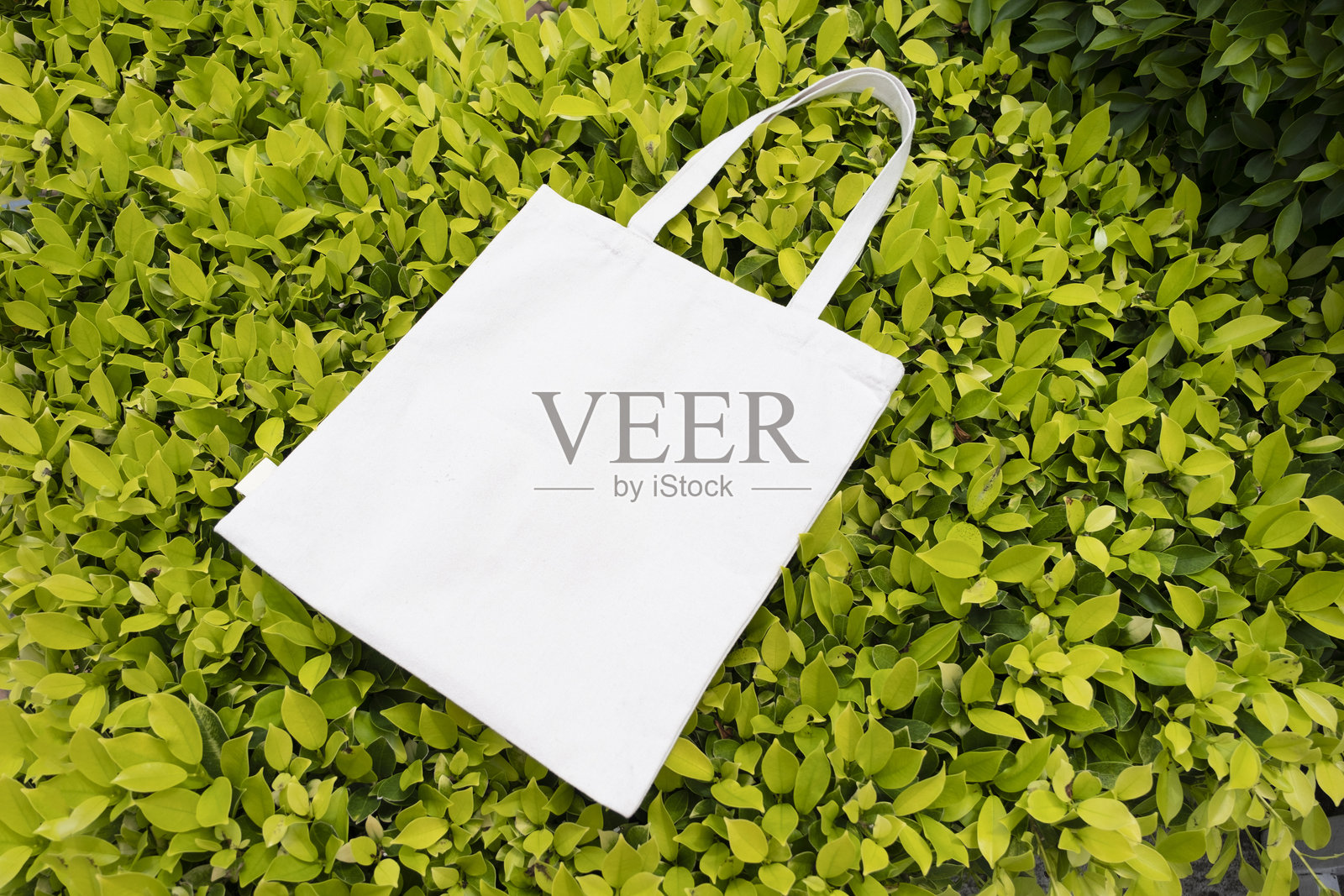 公园绿色灌木上的帆布手提袋样机照片摄影图片
