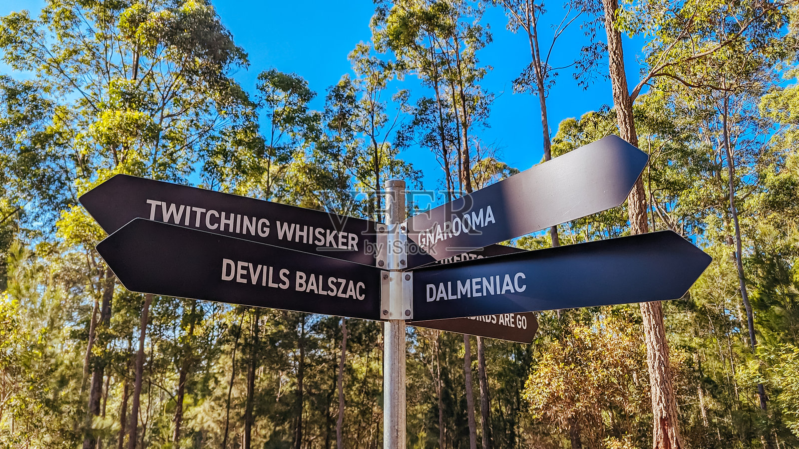 澳大利亚的Narooma MTB小径照片摄影图片