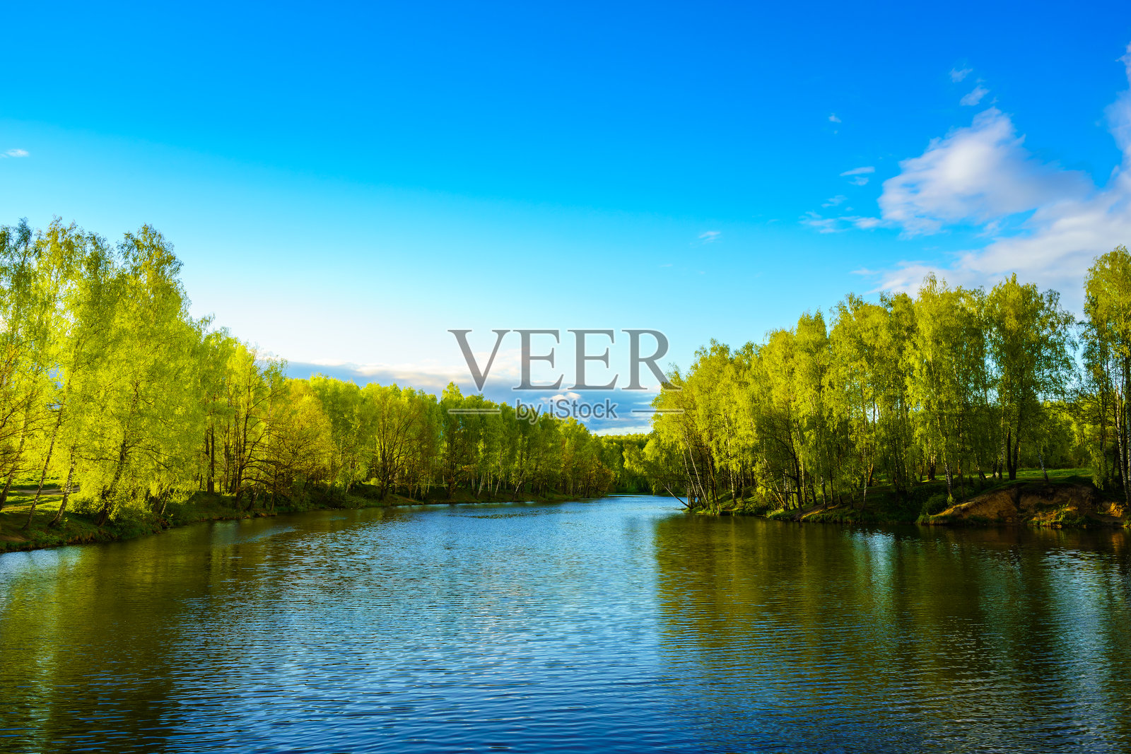 日出或日落在池塘边,白桦树沿着河岸生长,夏天的天空反射在水中。照片摄影图片