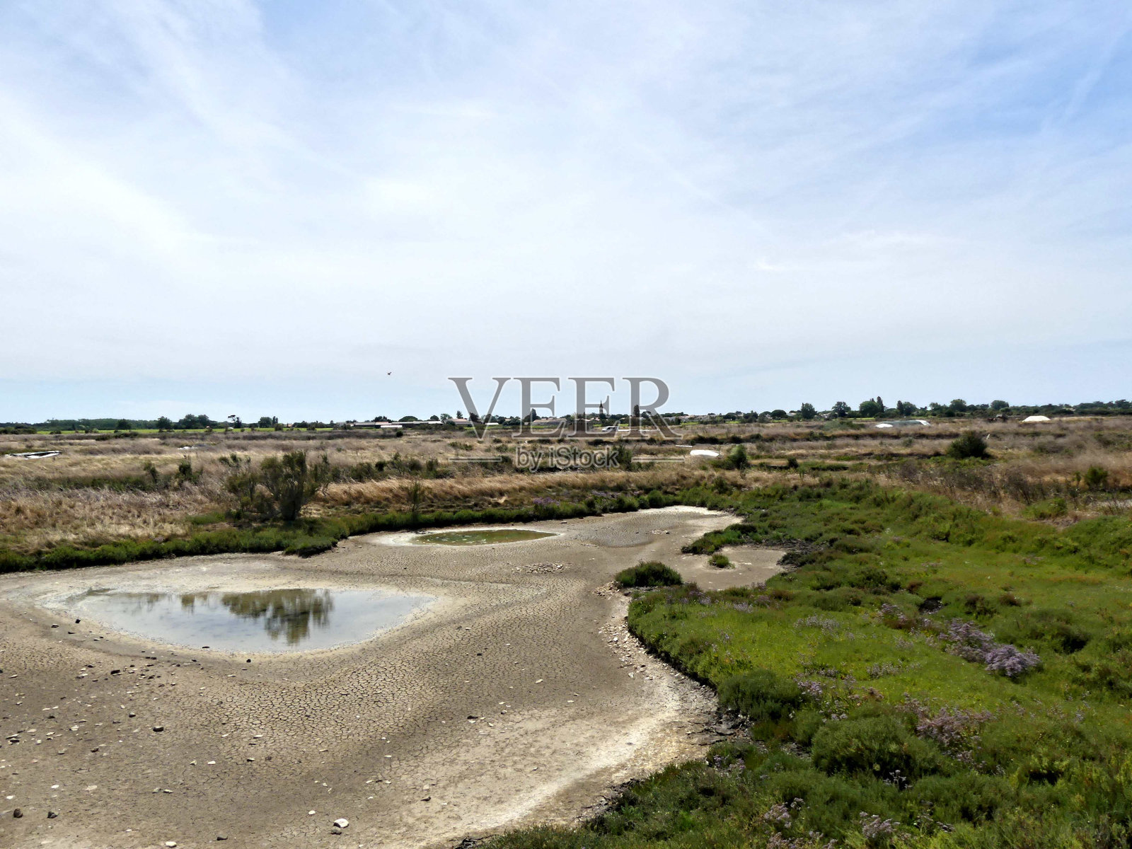 盐沼风光照片摄影图片