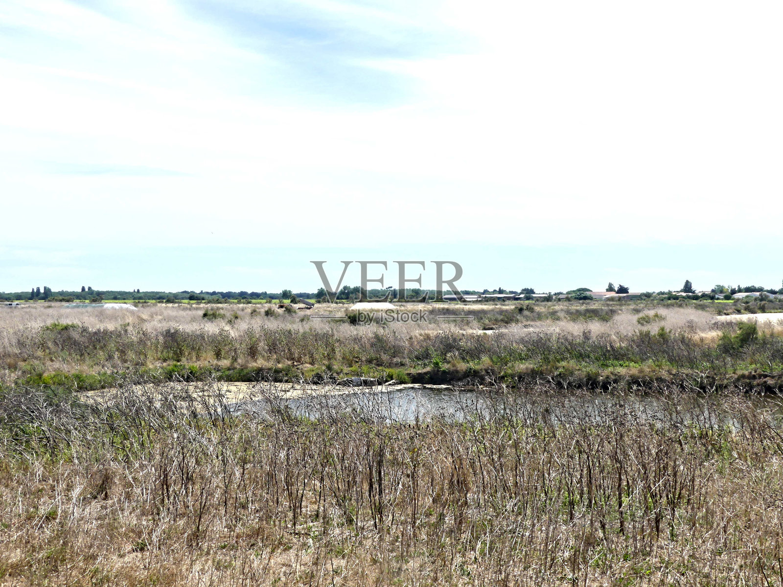 盐沼风光照片摄影图片