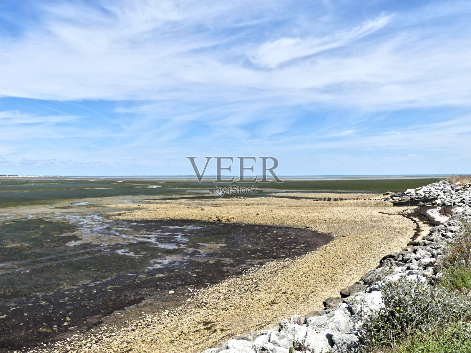 盐沼风光照片摄影图片