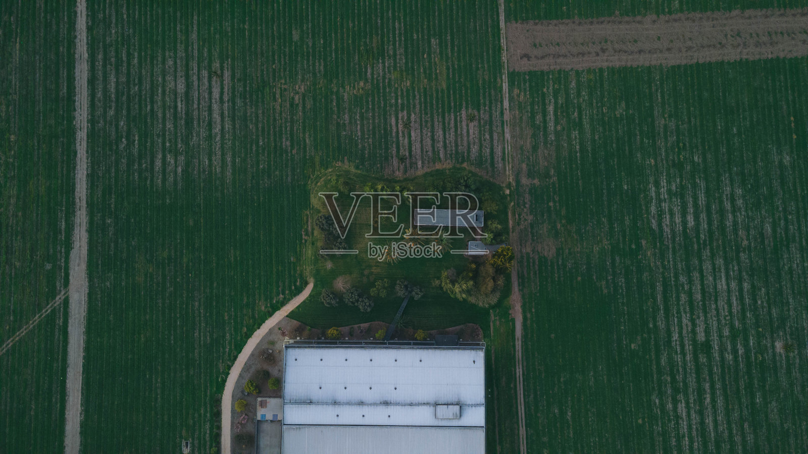 农田照片摄影图片