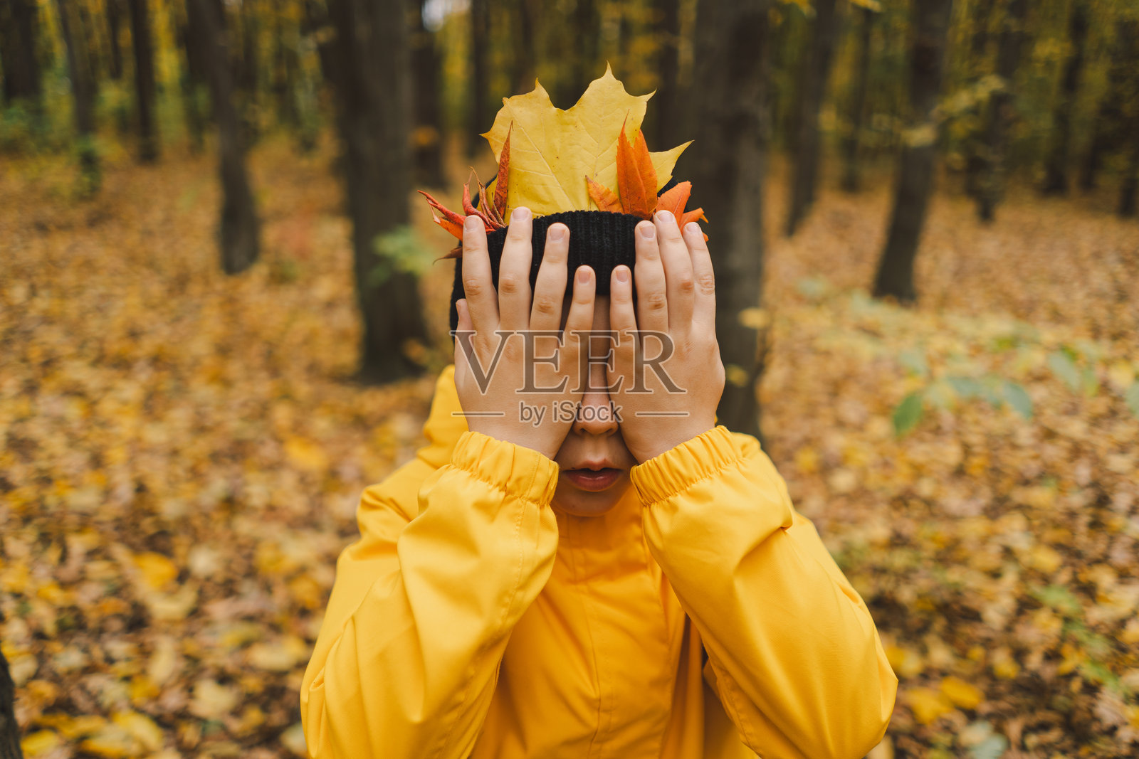 一个穿着亮黄色夹克的孩子正在把各种色彩斑斓的秋叶和栗子收集到一个编织的篮子里。照片摄影图片