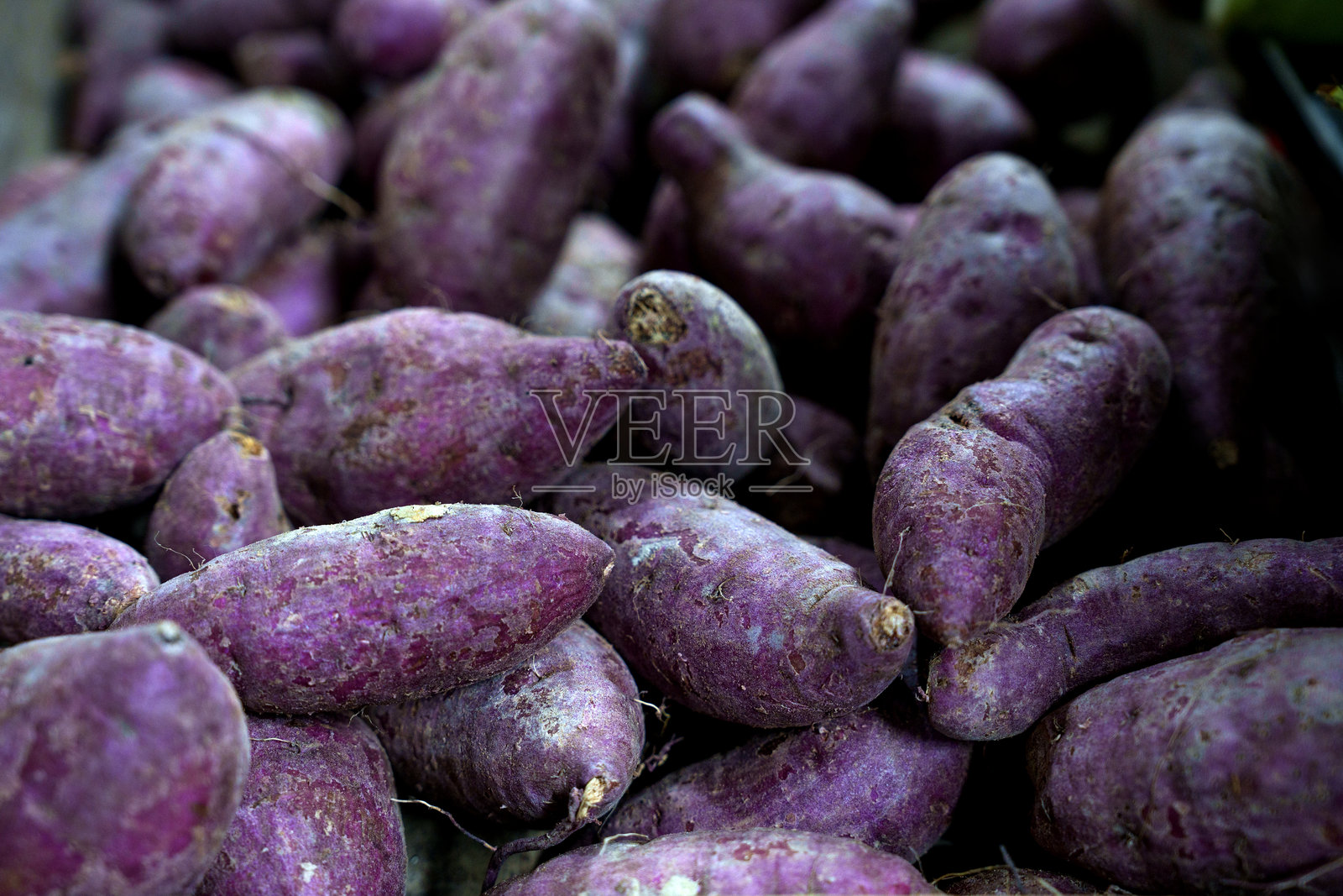 一堆新鲜的甘薯在零售市场展示。照片摄影图片