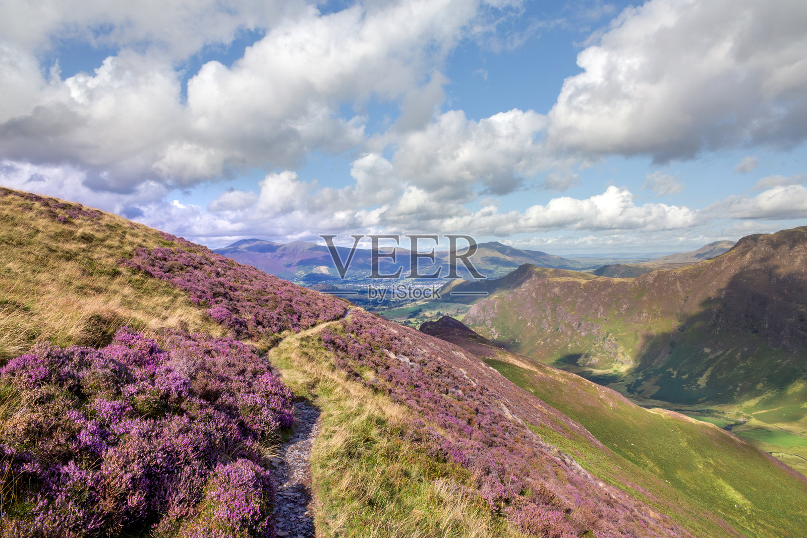 英格兰湖区八月的山坡旁边的海瑟铺成的小路照片摄影图片