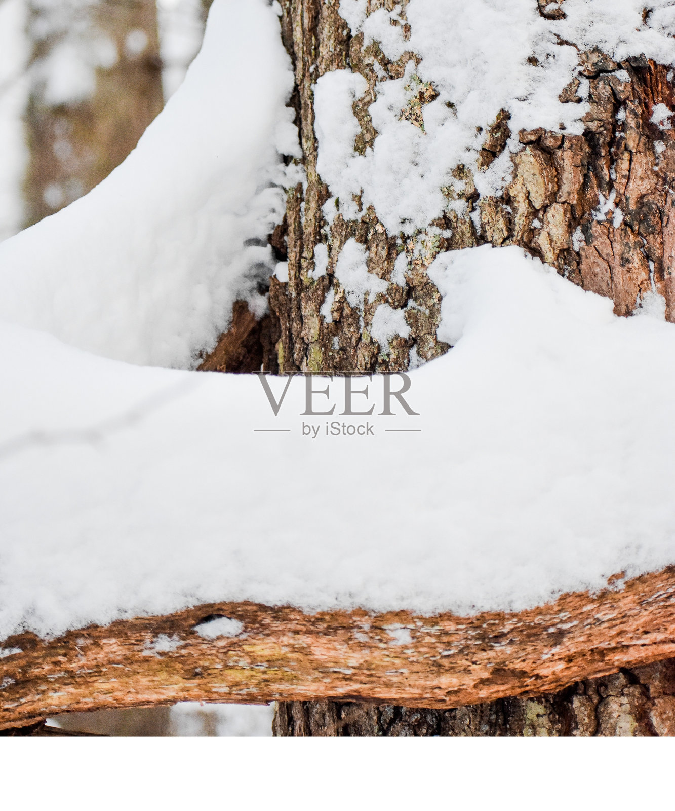 动物与风景摄影 - 14照片摄影图片