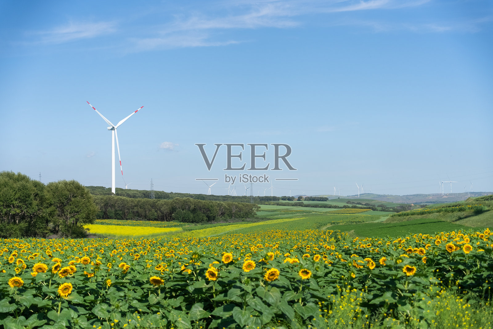 风力发电风电场风车照片摄影图片