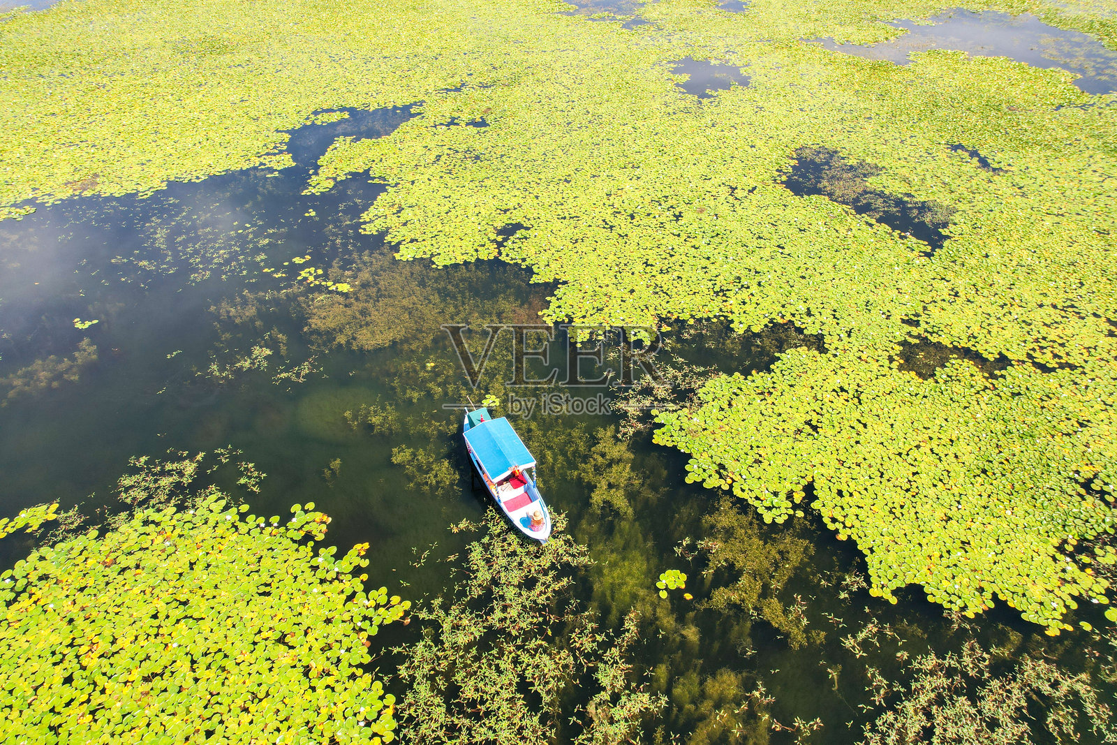 莲花湖上的船游。莲花湖。照片摄影图片