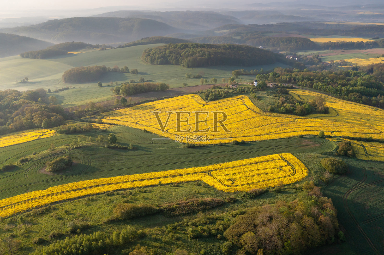 黄色的田野照片摄影图片