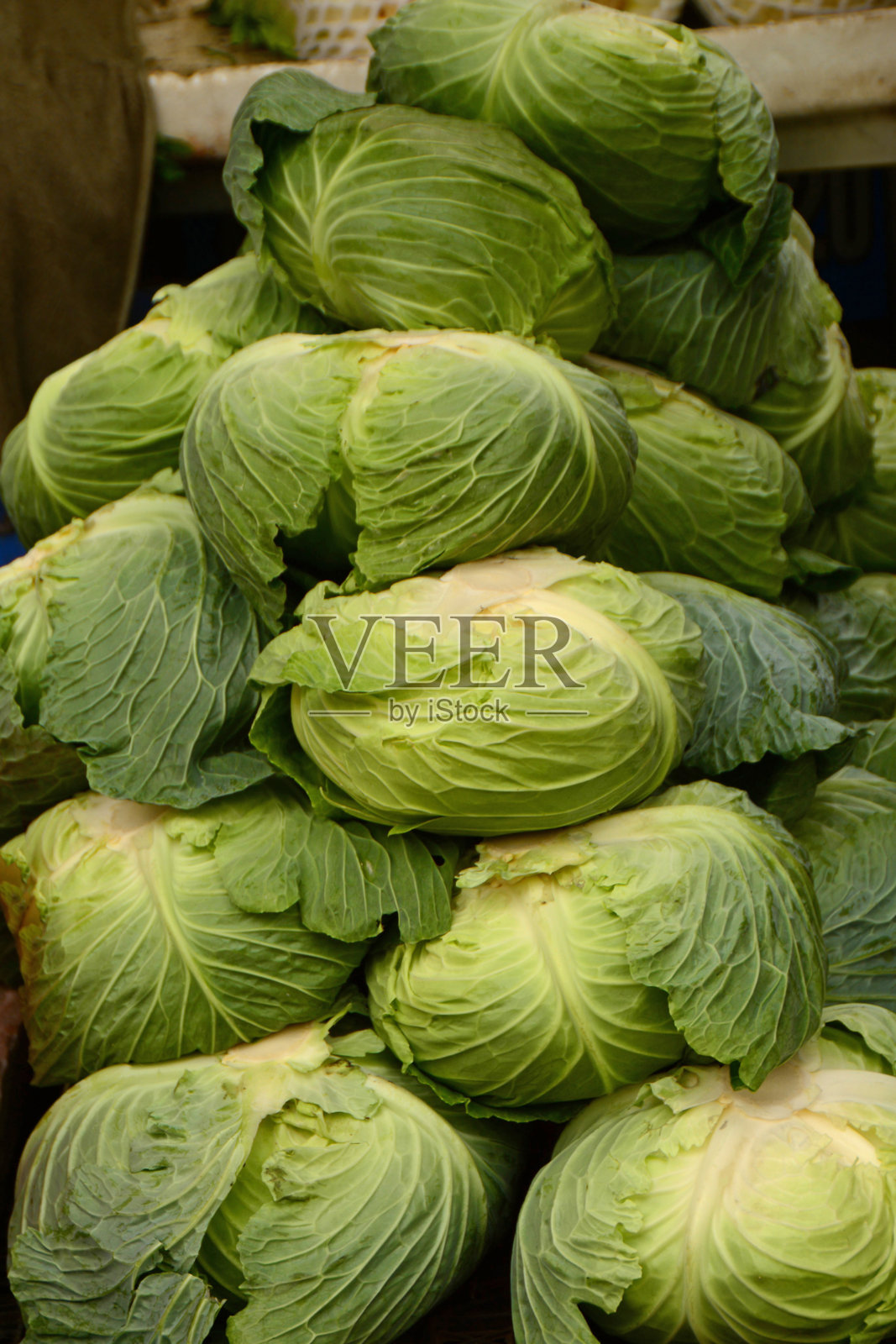 白色卷心菜照片摄影图片