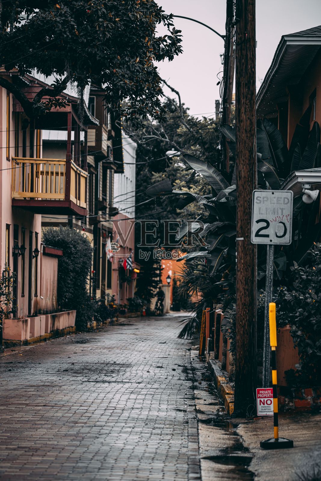 狭窄的湿街道,两旁是色彩斑斓的建筑和绿色植物,雨天的景象照片摄影图片