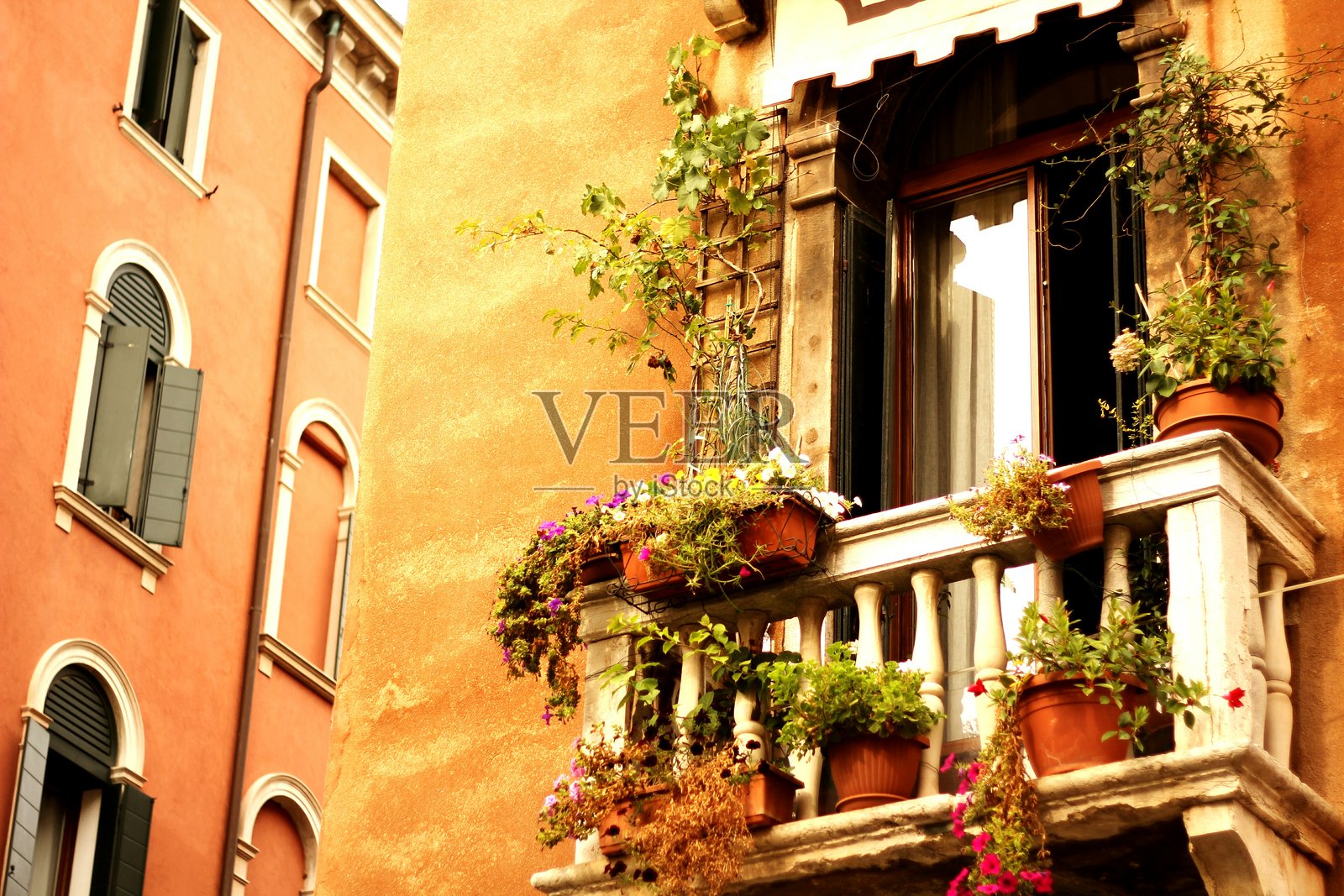 住宅建筑的视图照片摄影图片