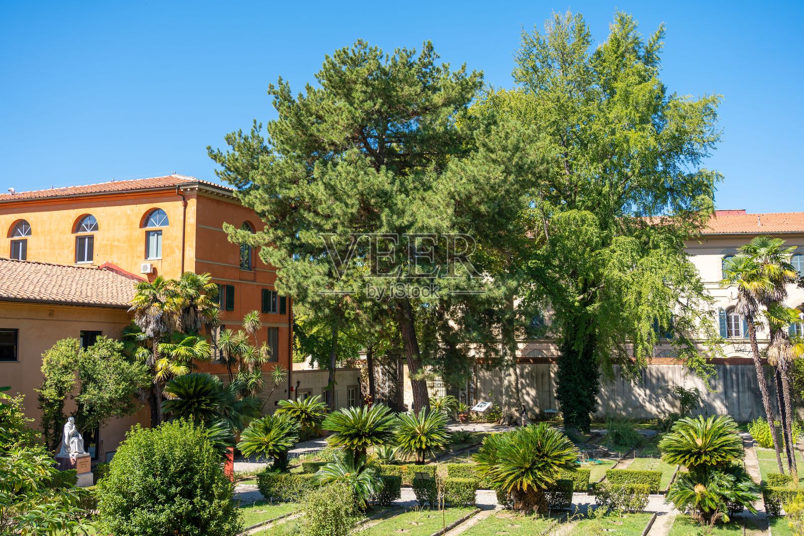 郁郁葱葱的花园,棕榈树与建筑相映成趣照片摄影图片